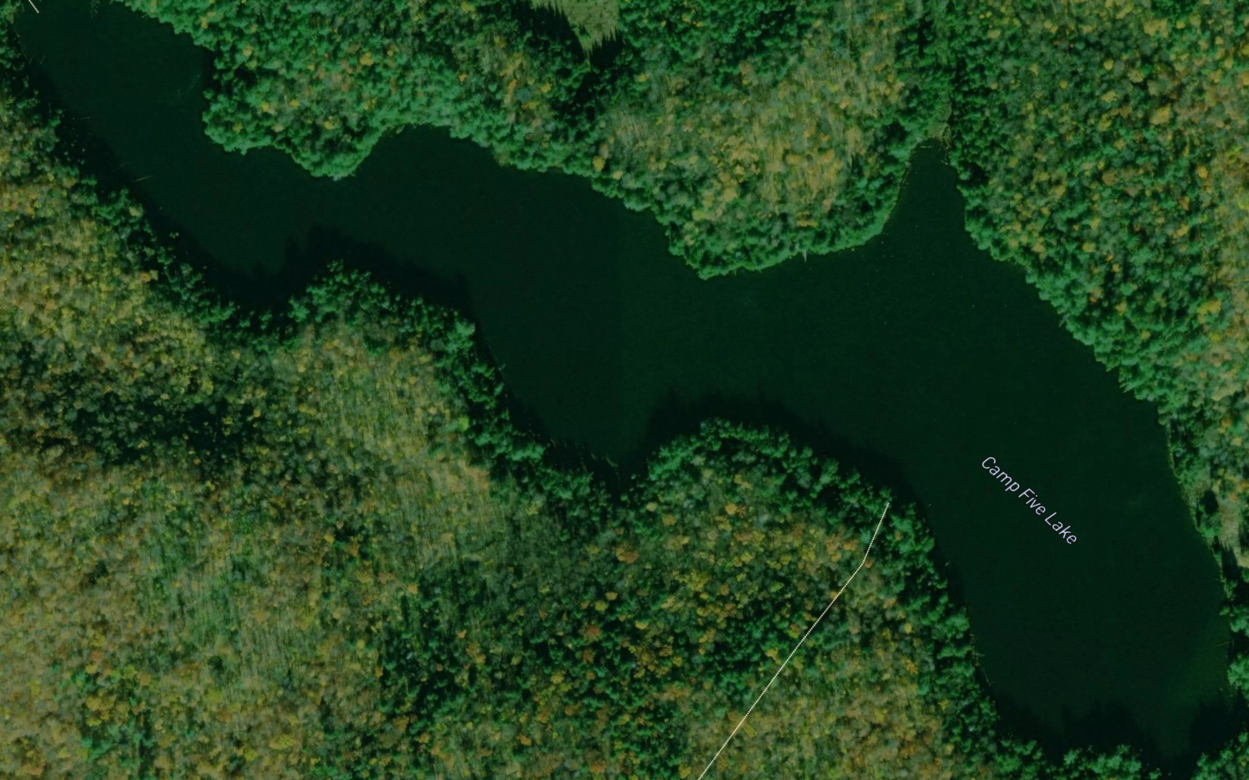 Camp Five Lake