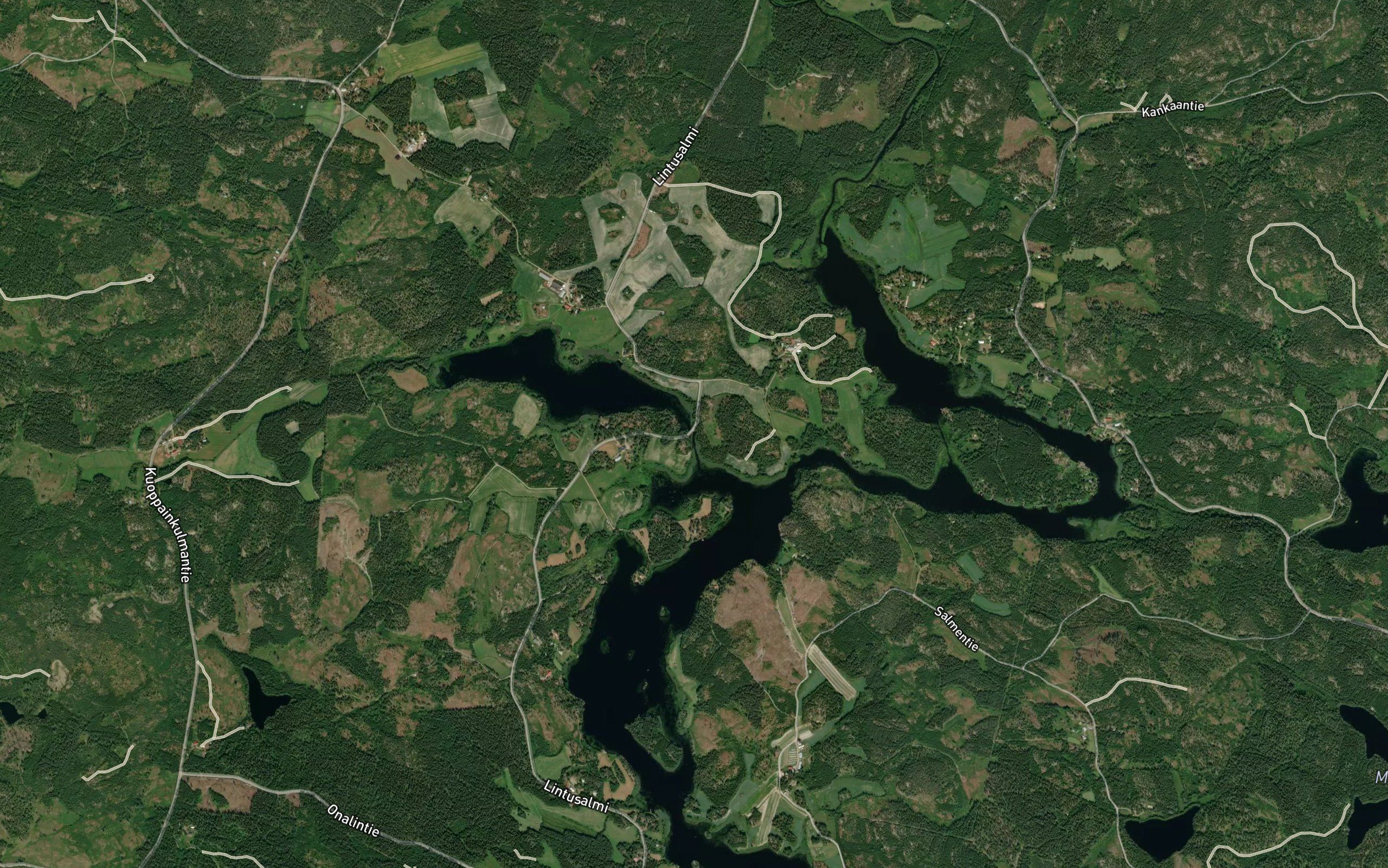 Lintusalmi