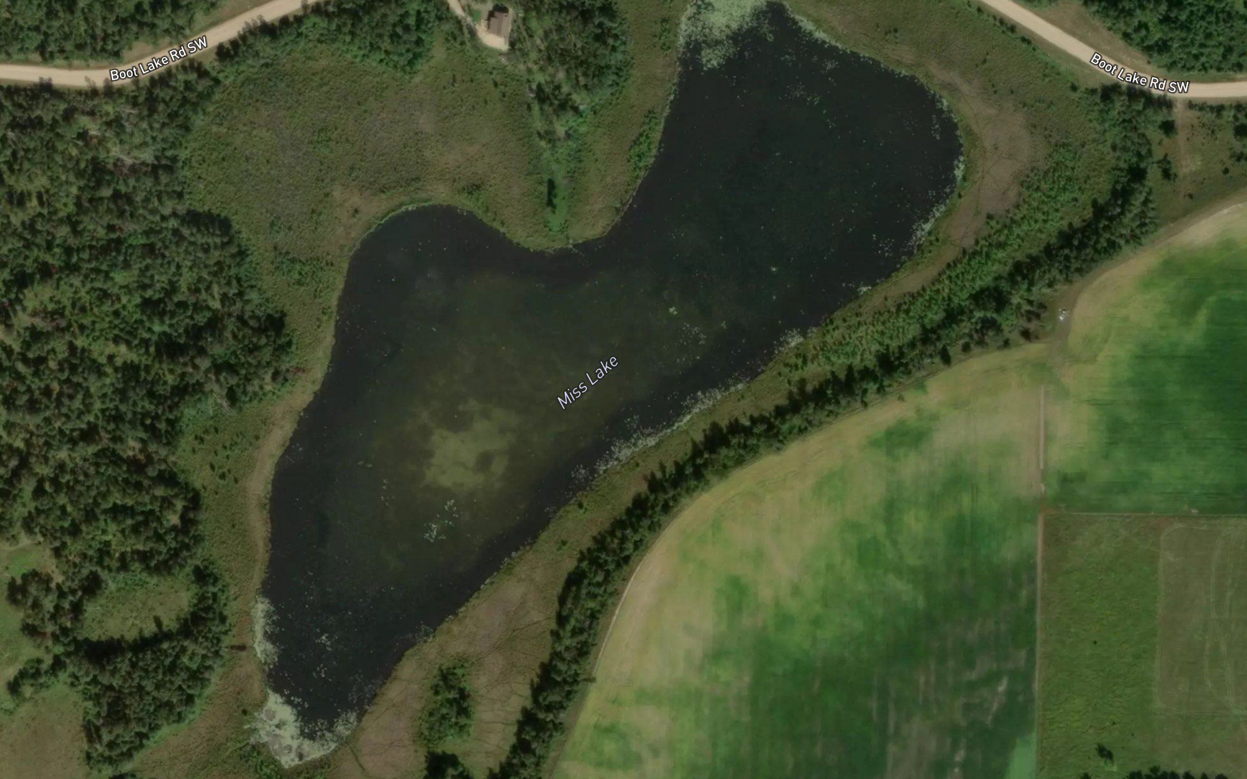 Miss Lake