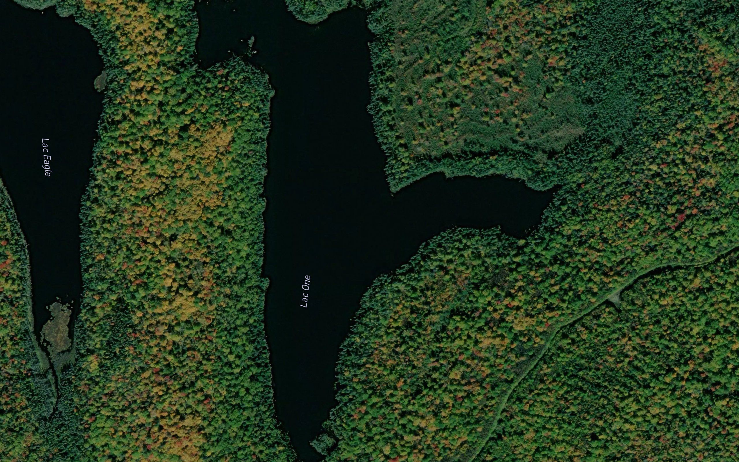 Lac One