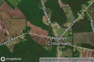 Kingstree Swamp Canal