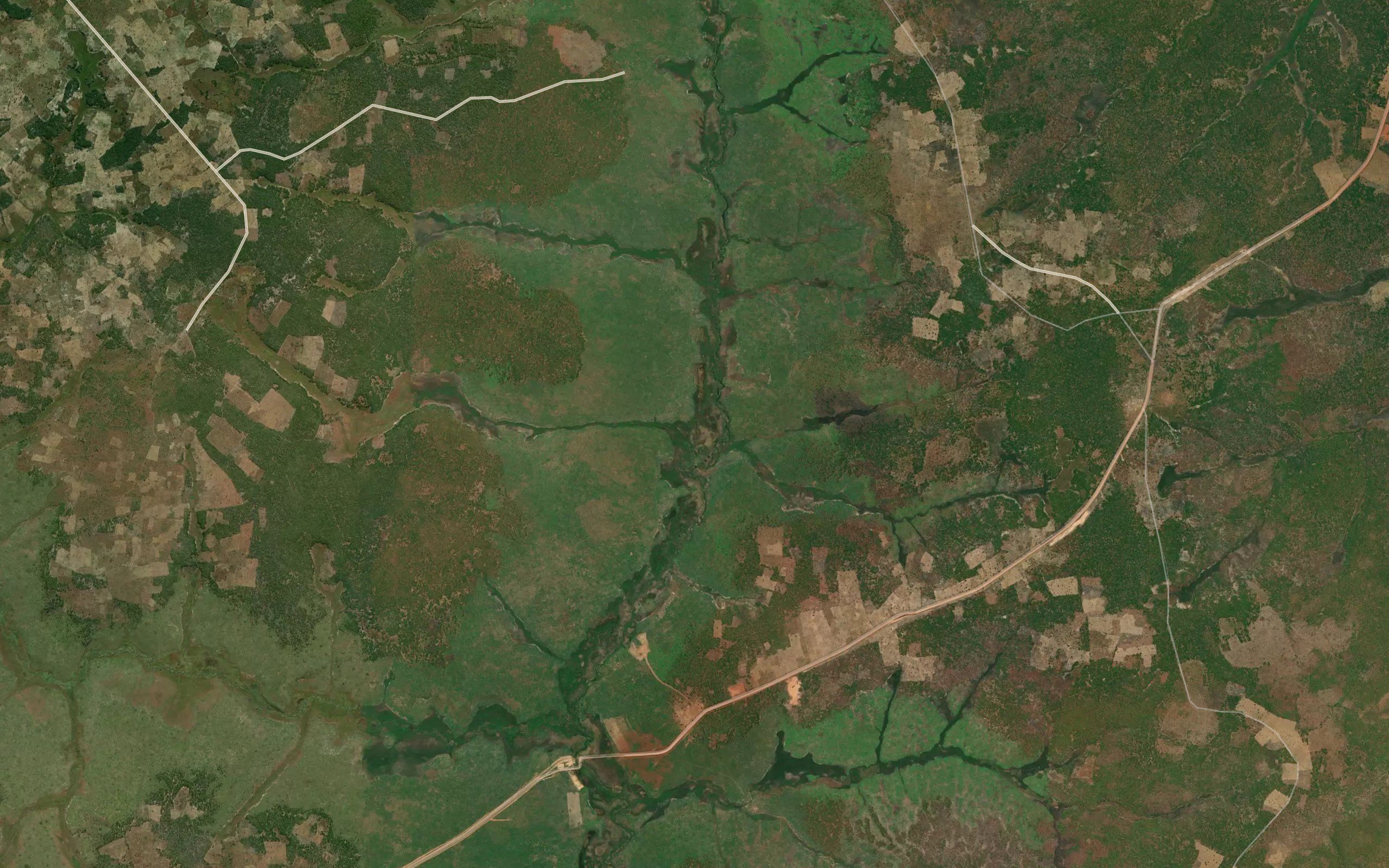 Manongo