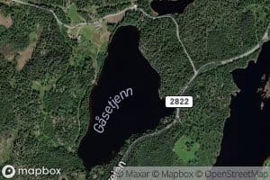 Gasetjern