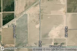 Fillaree Lateral One