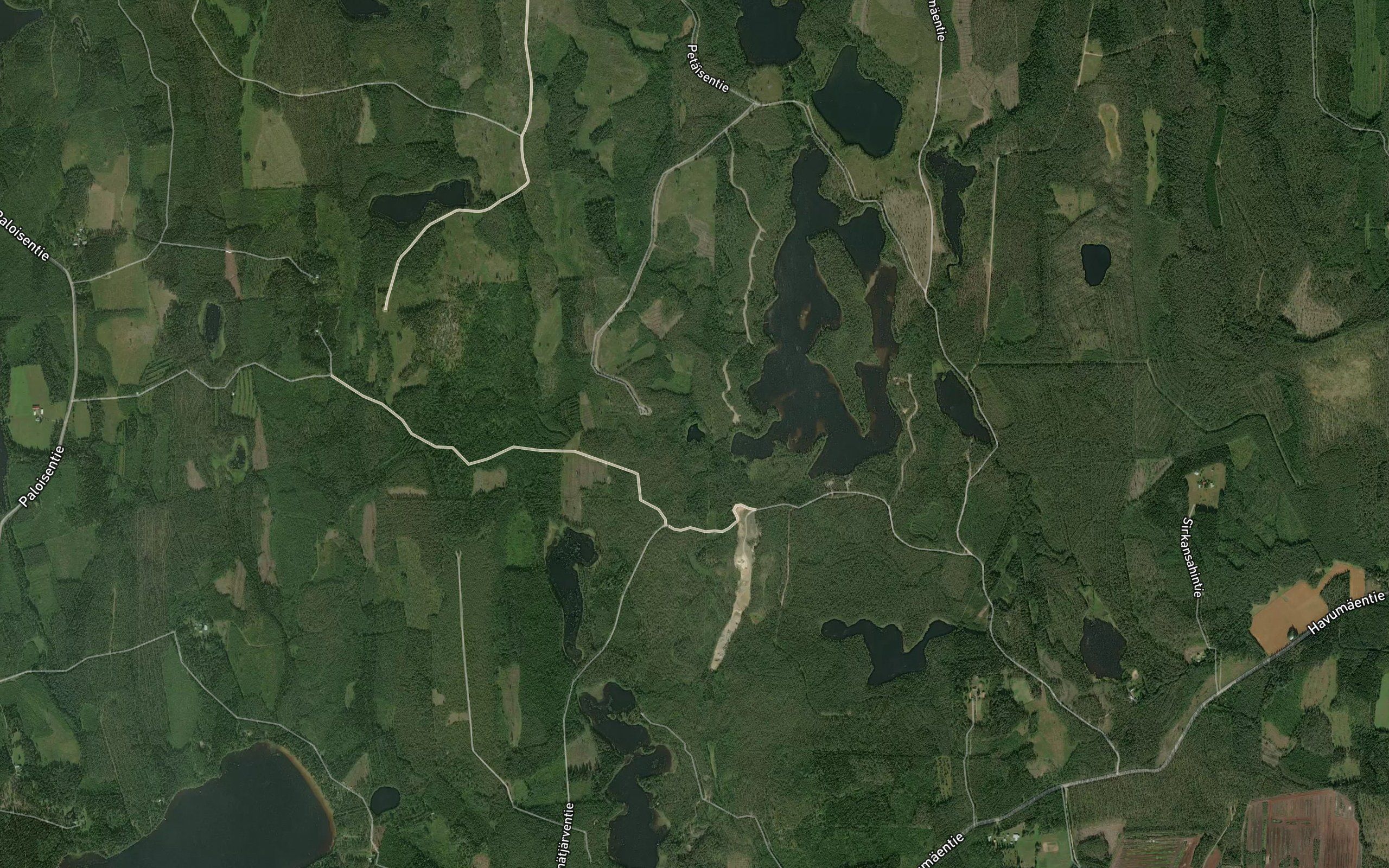 Tervalampi