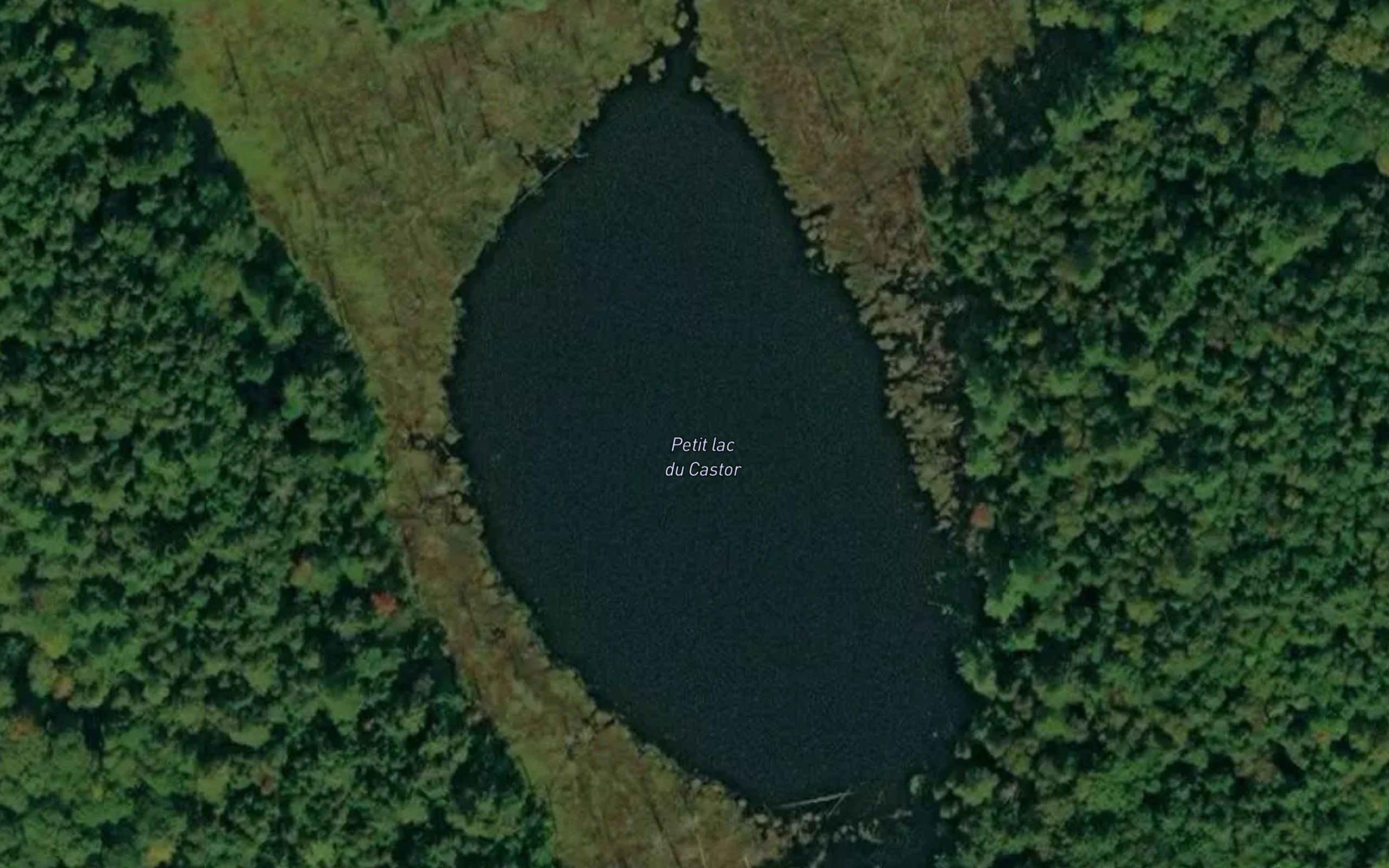 Petit lac du Castor