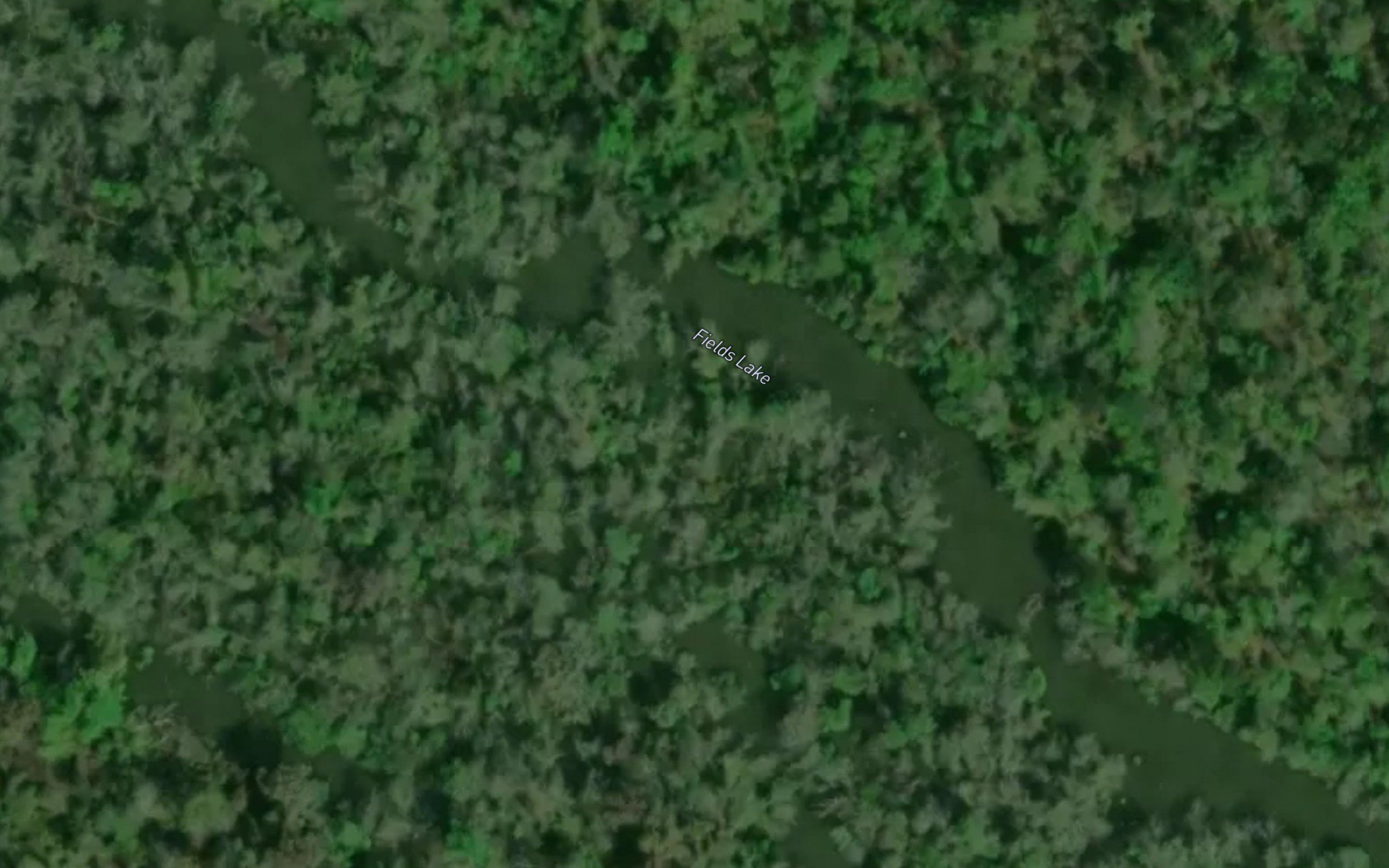 Fields Lake