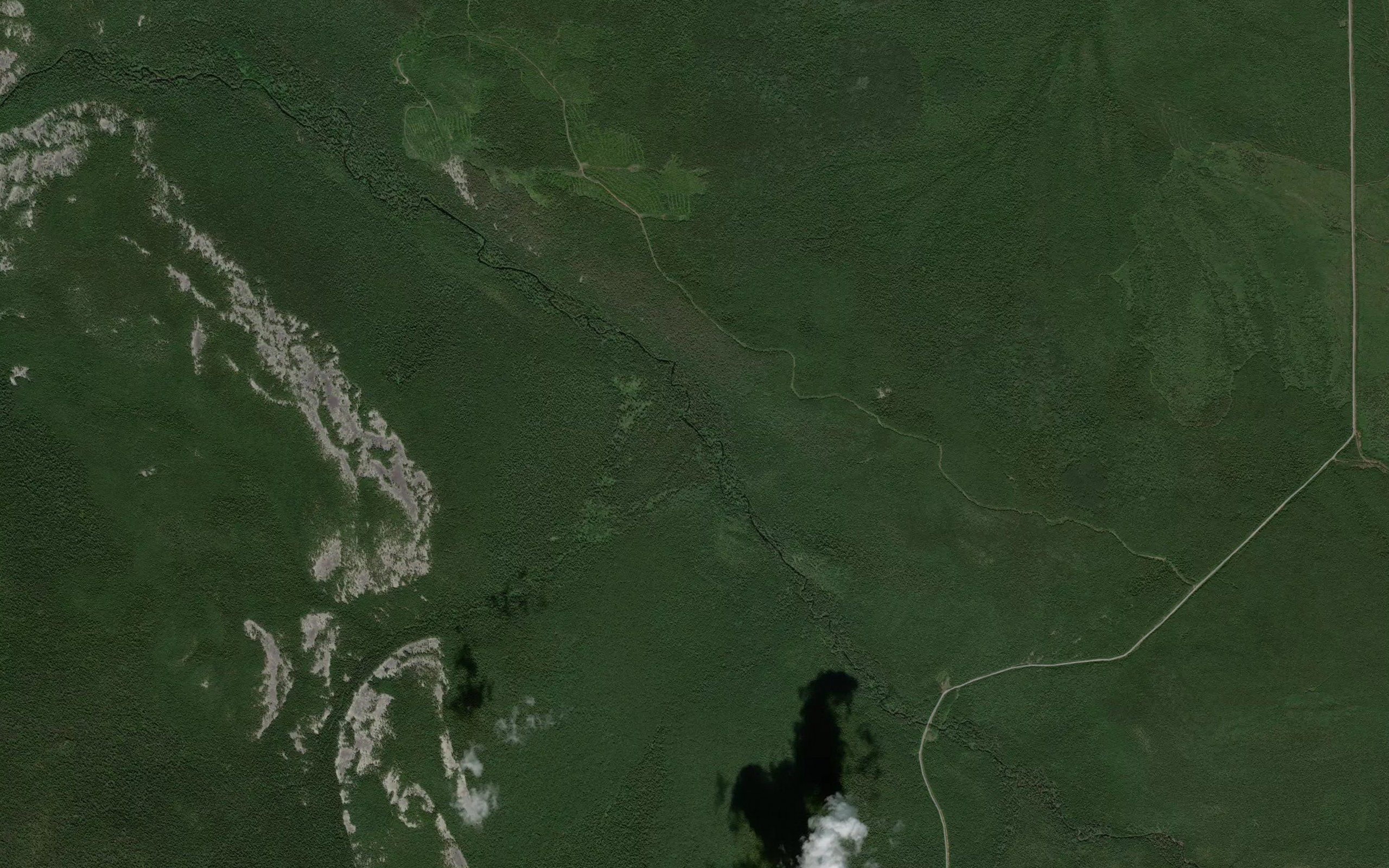 Medvezhiy