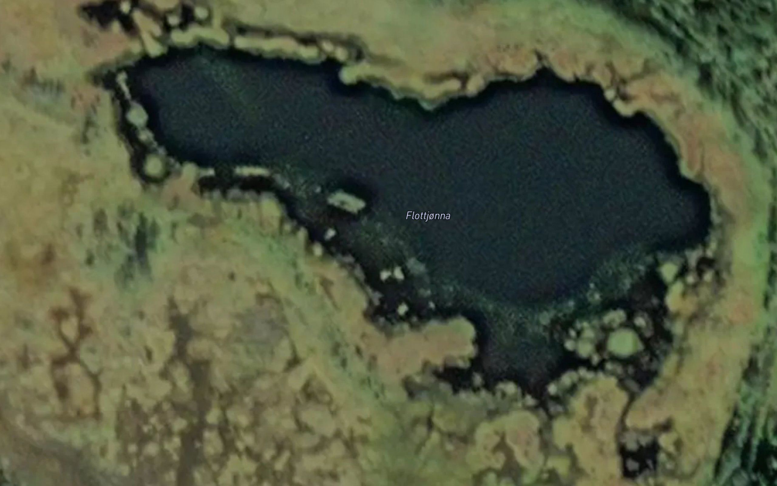 Flattjonna
