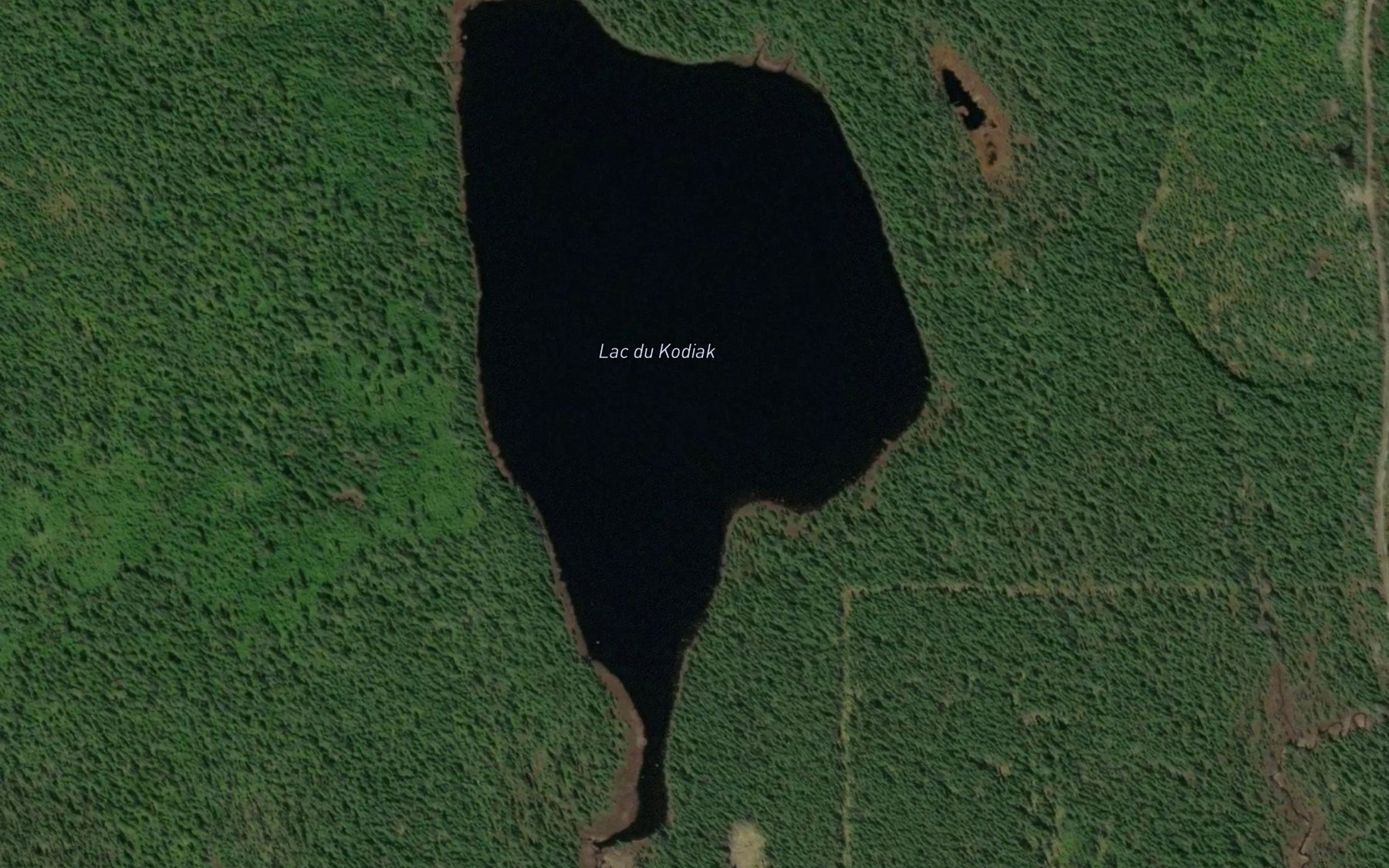 Satellite map of the Lac du Kodiak