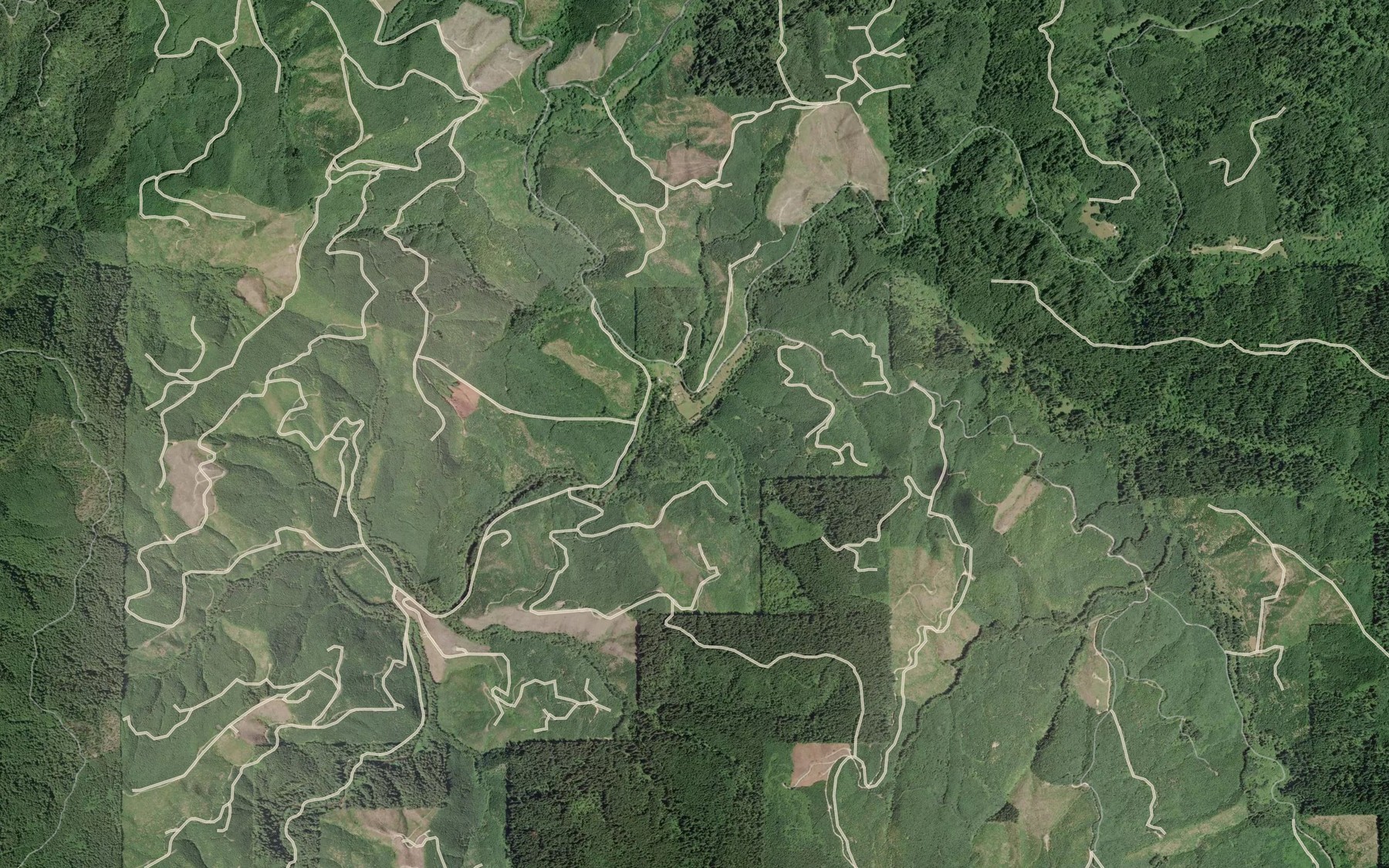 Satellite map of the Needle Branch