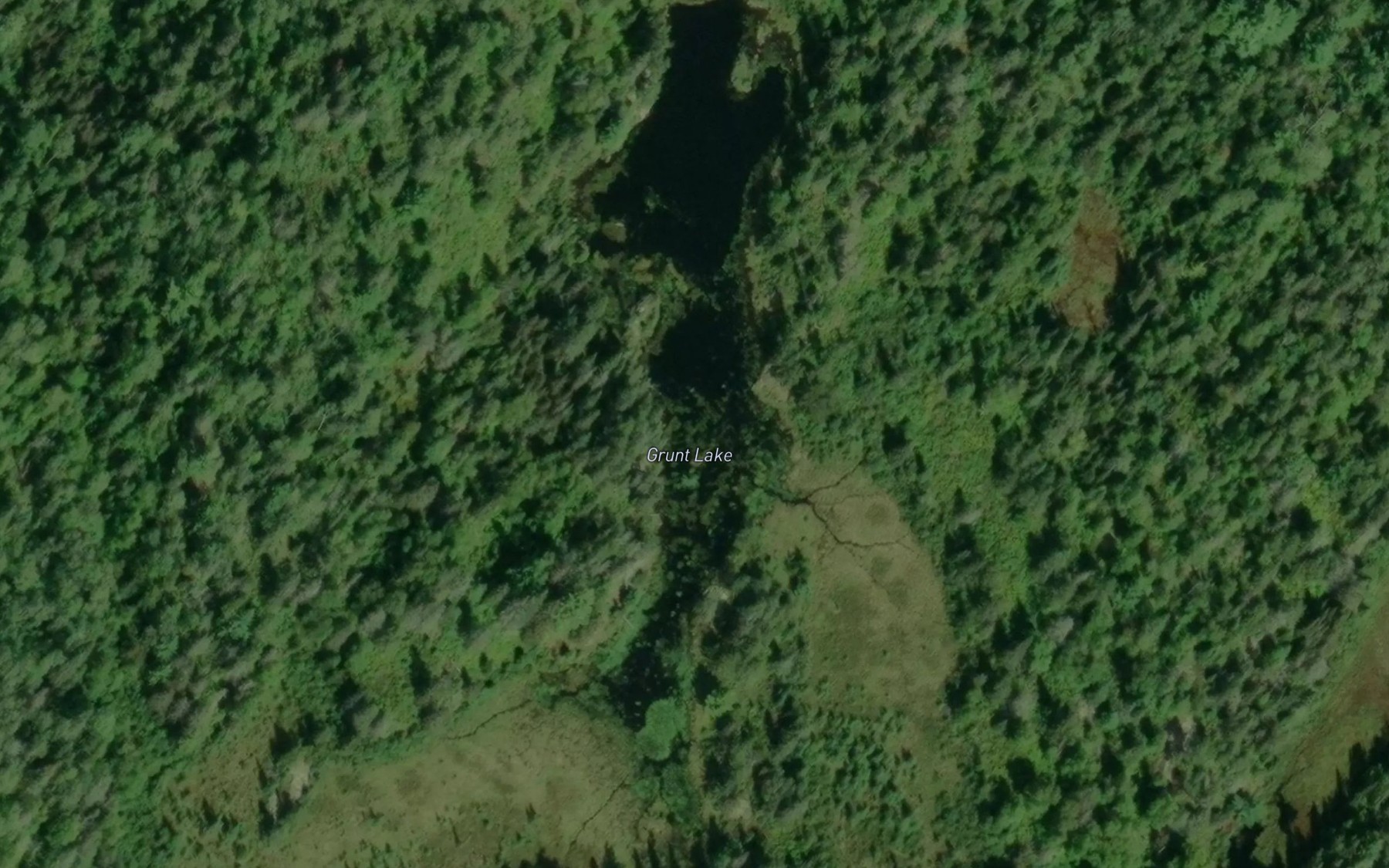 Satellite map of the Grunt Lake