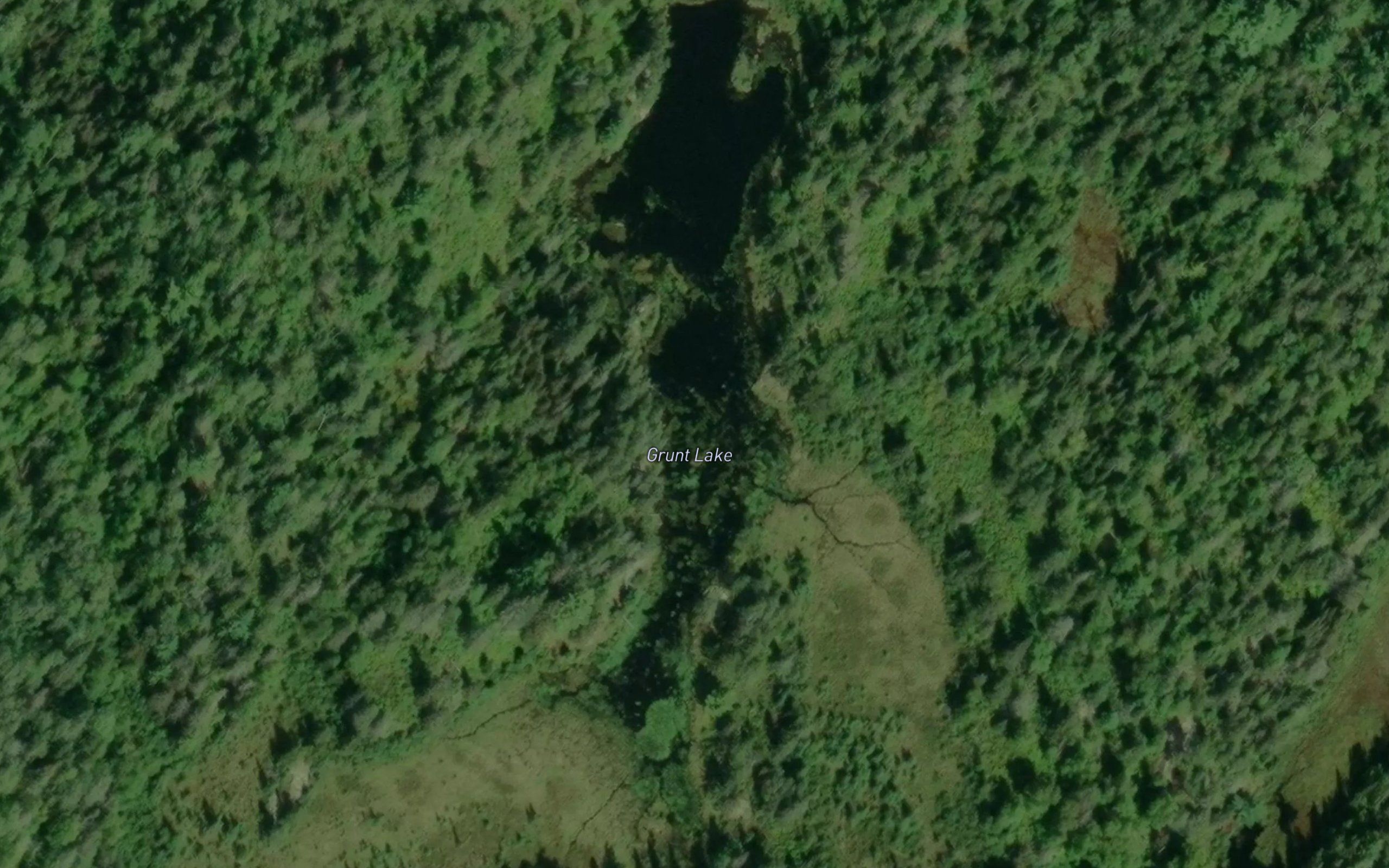 Grunt Lake