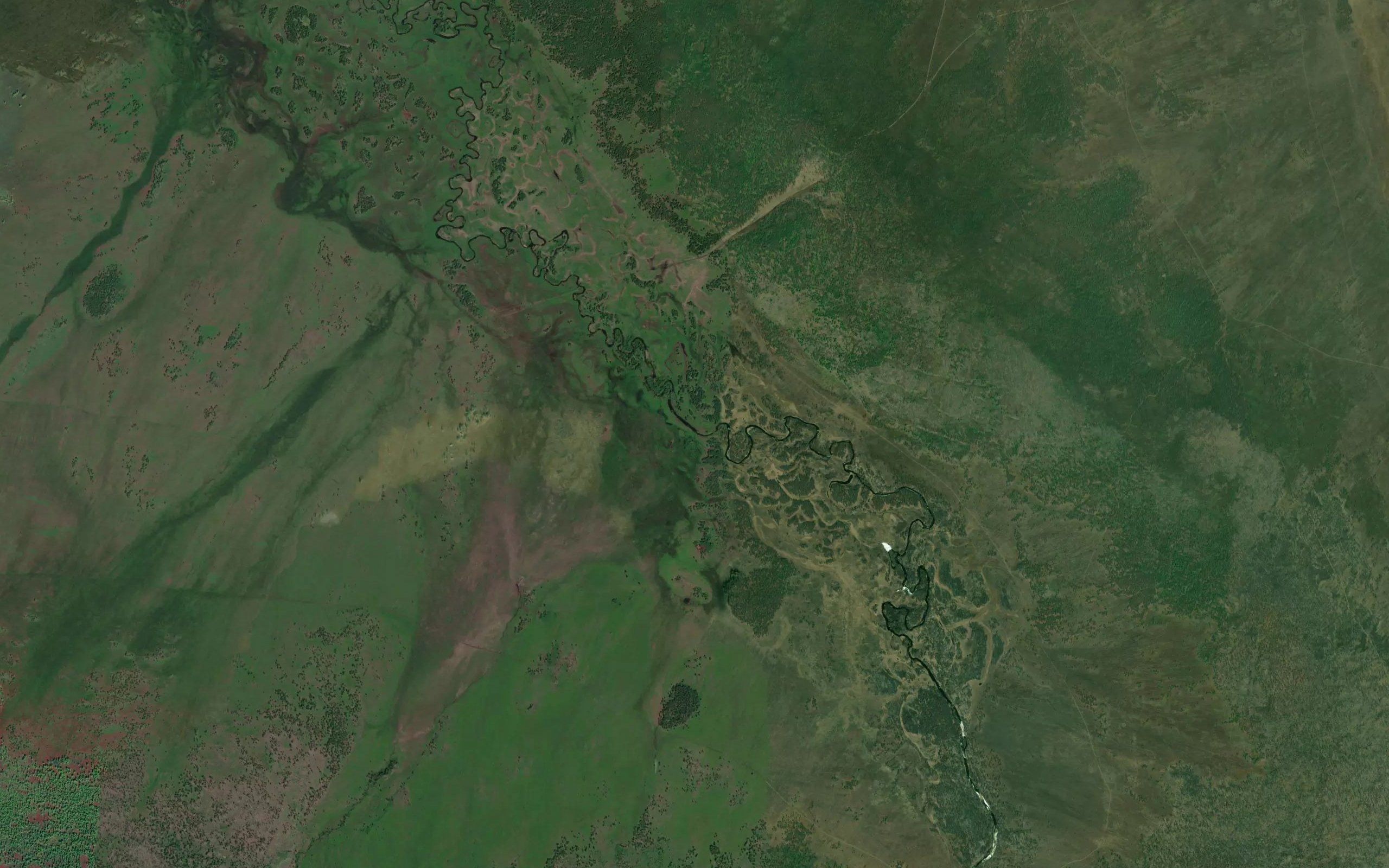 Severnaya Kurlukta