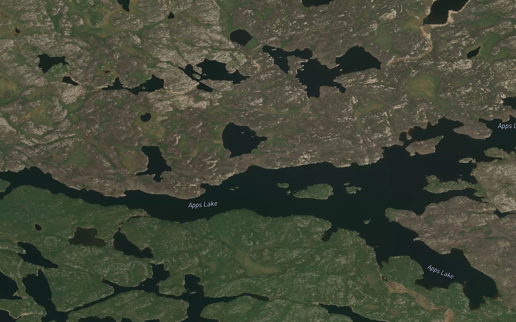 Satellite map of the Apps Lake