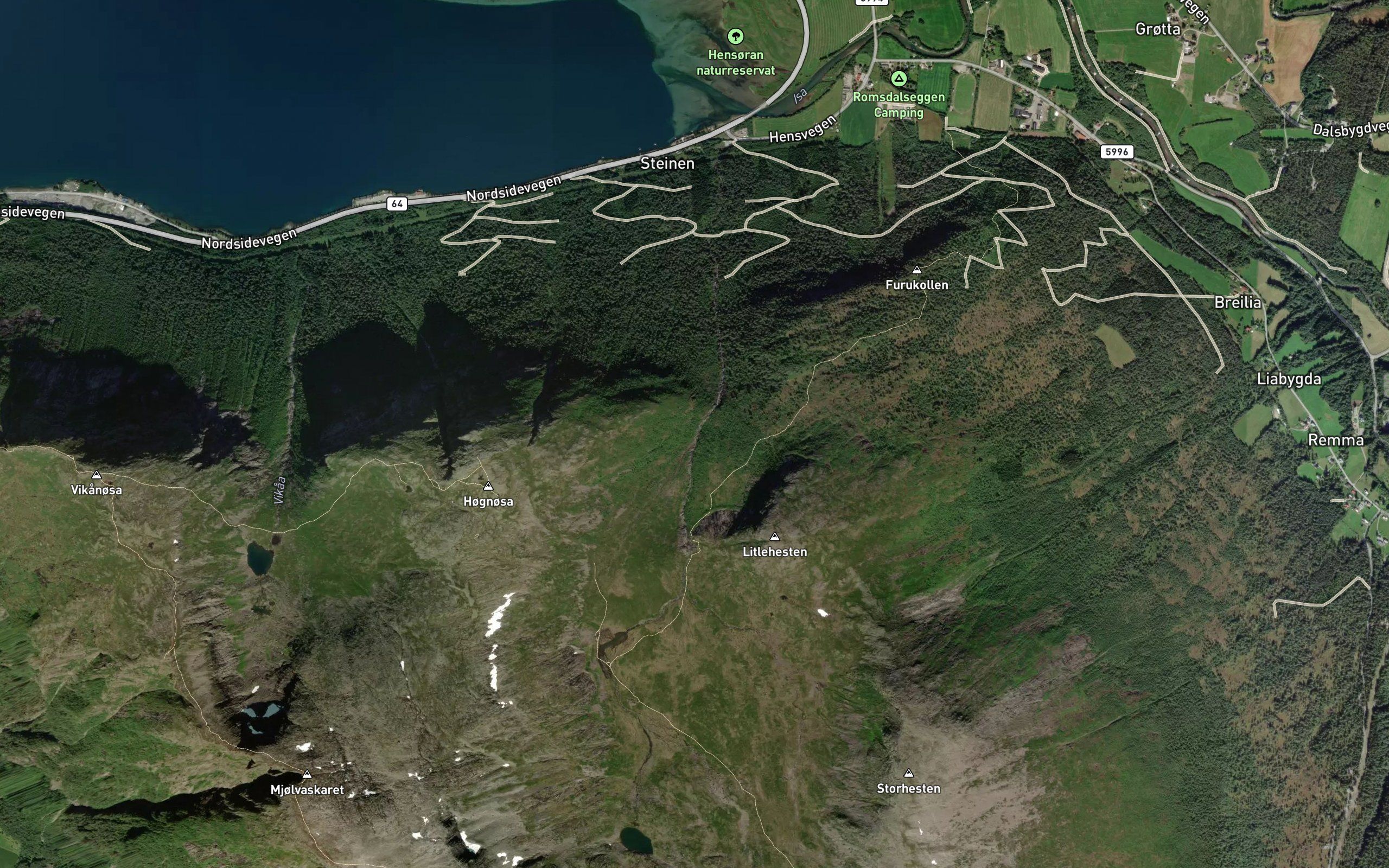 Steinselva