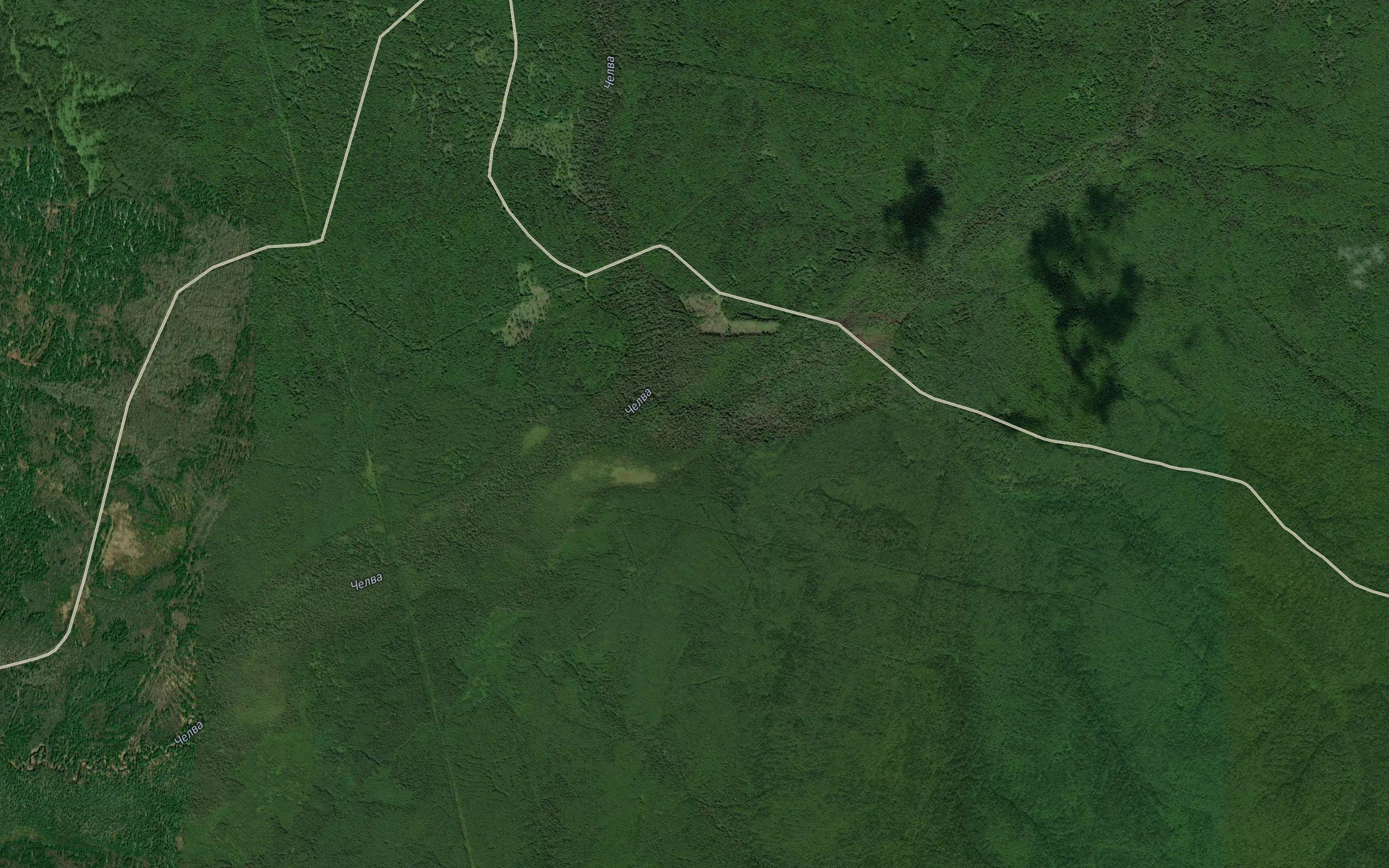 Pchelka