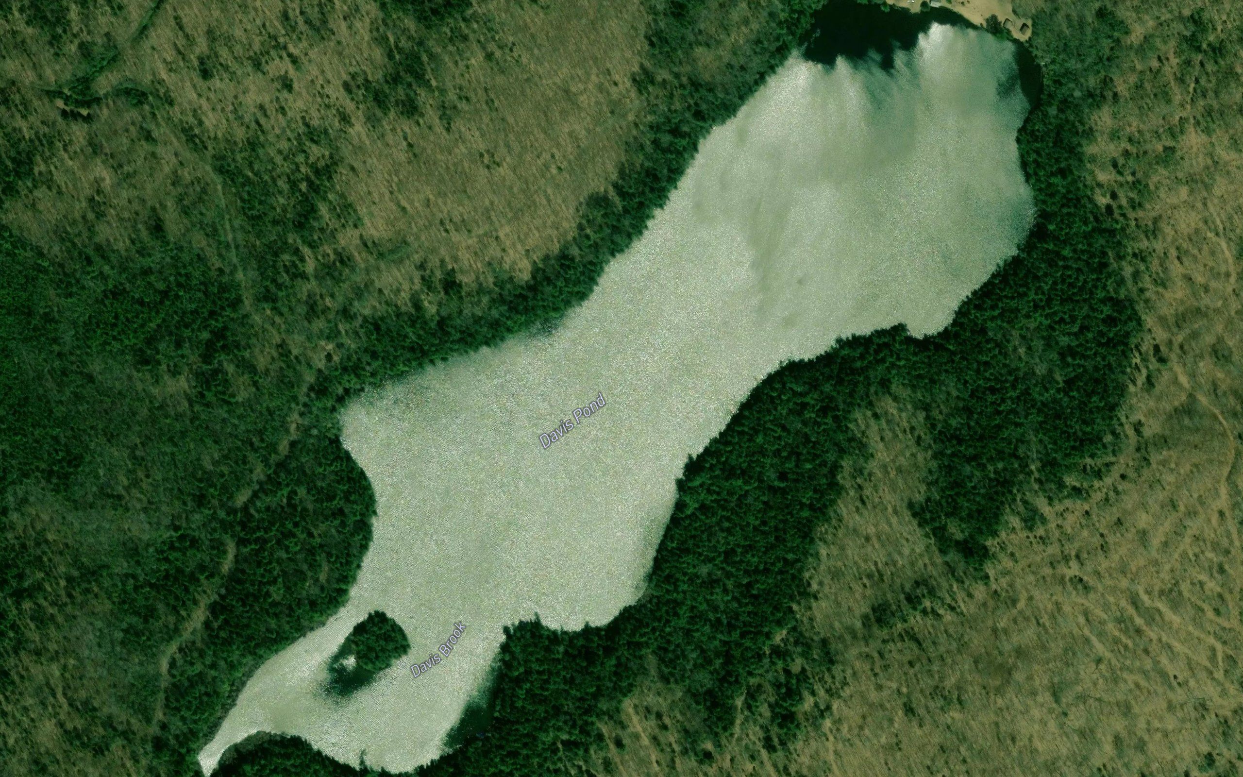 Davis Pond