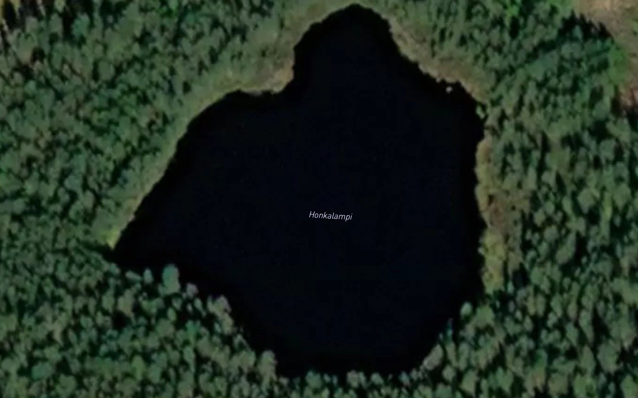 Honkalampi