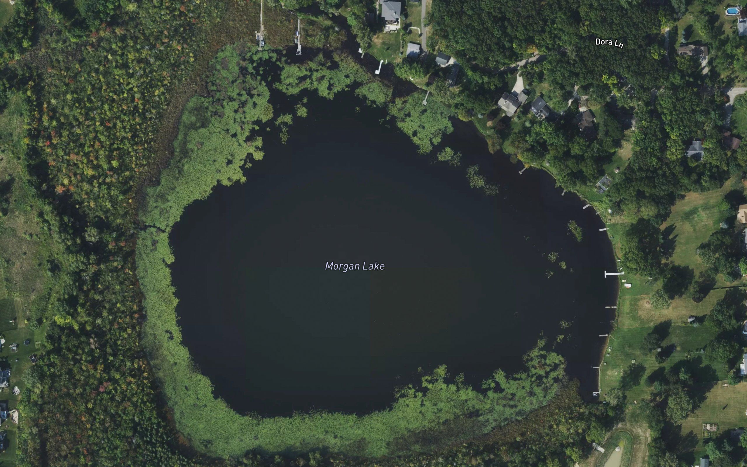 Morgan Lake