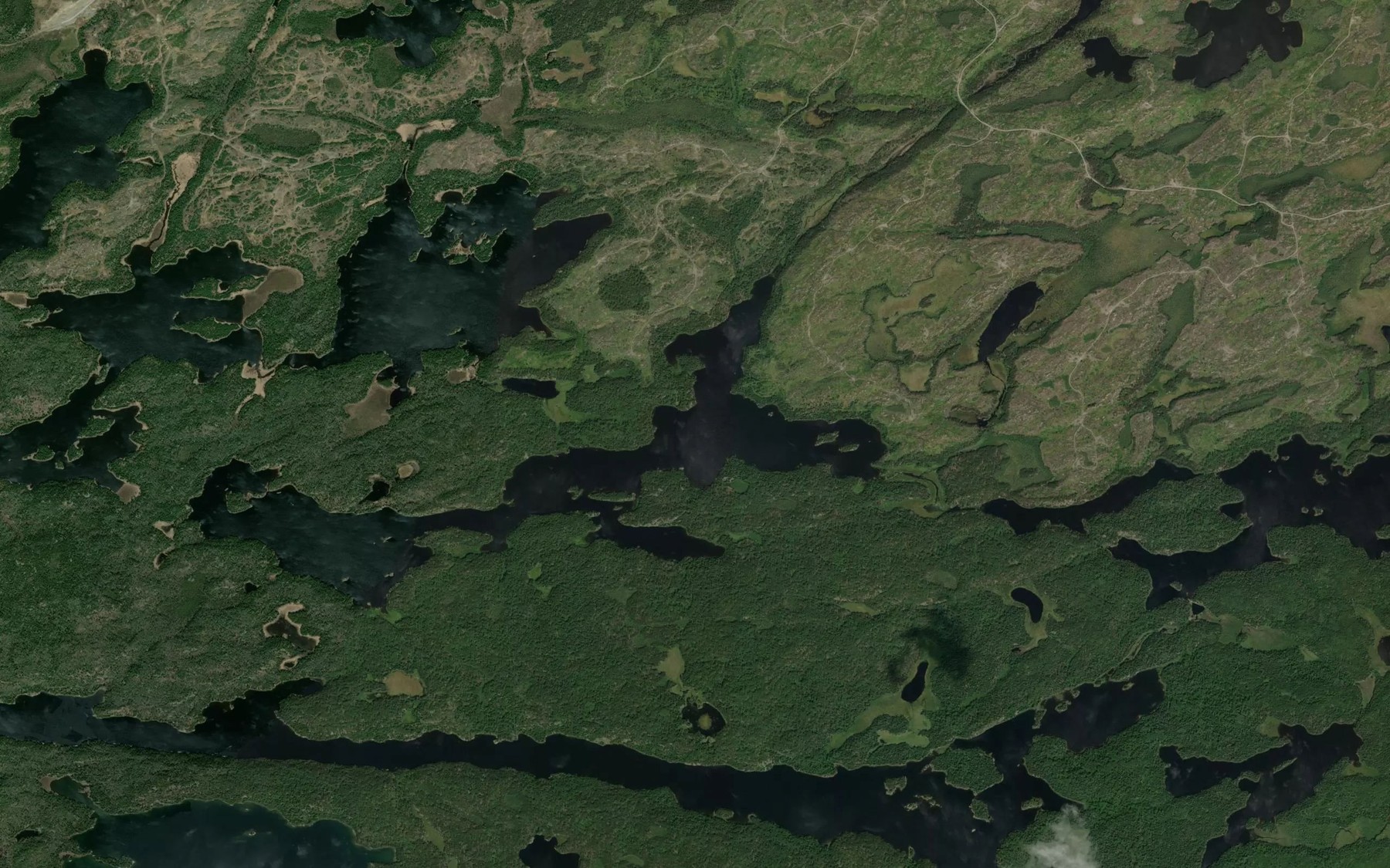 Satellite map of the Oldcamp Lake