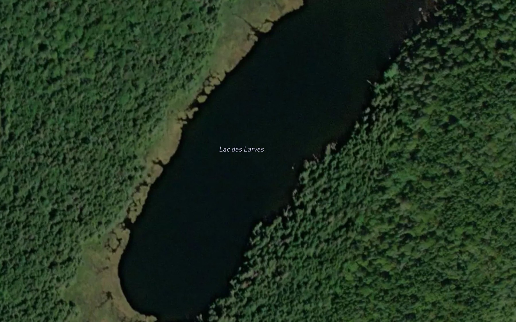 Satellite map of the Lac des Larves