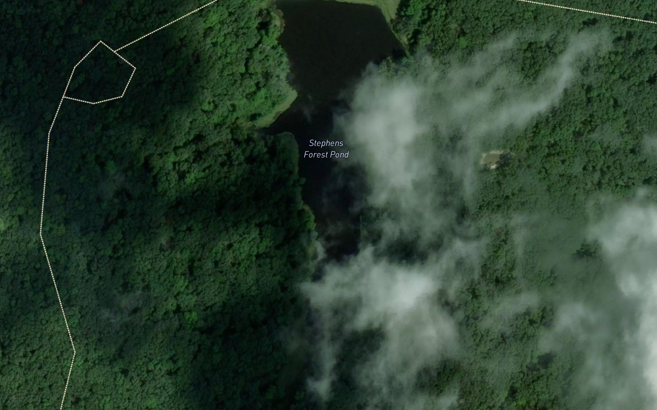 Stephens Forest Pond