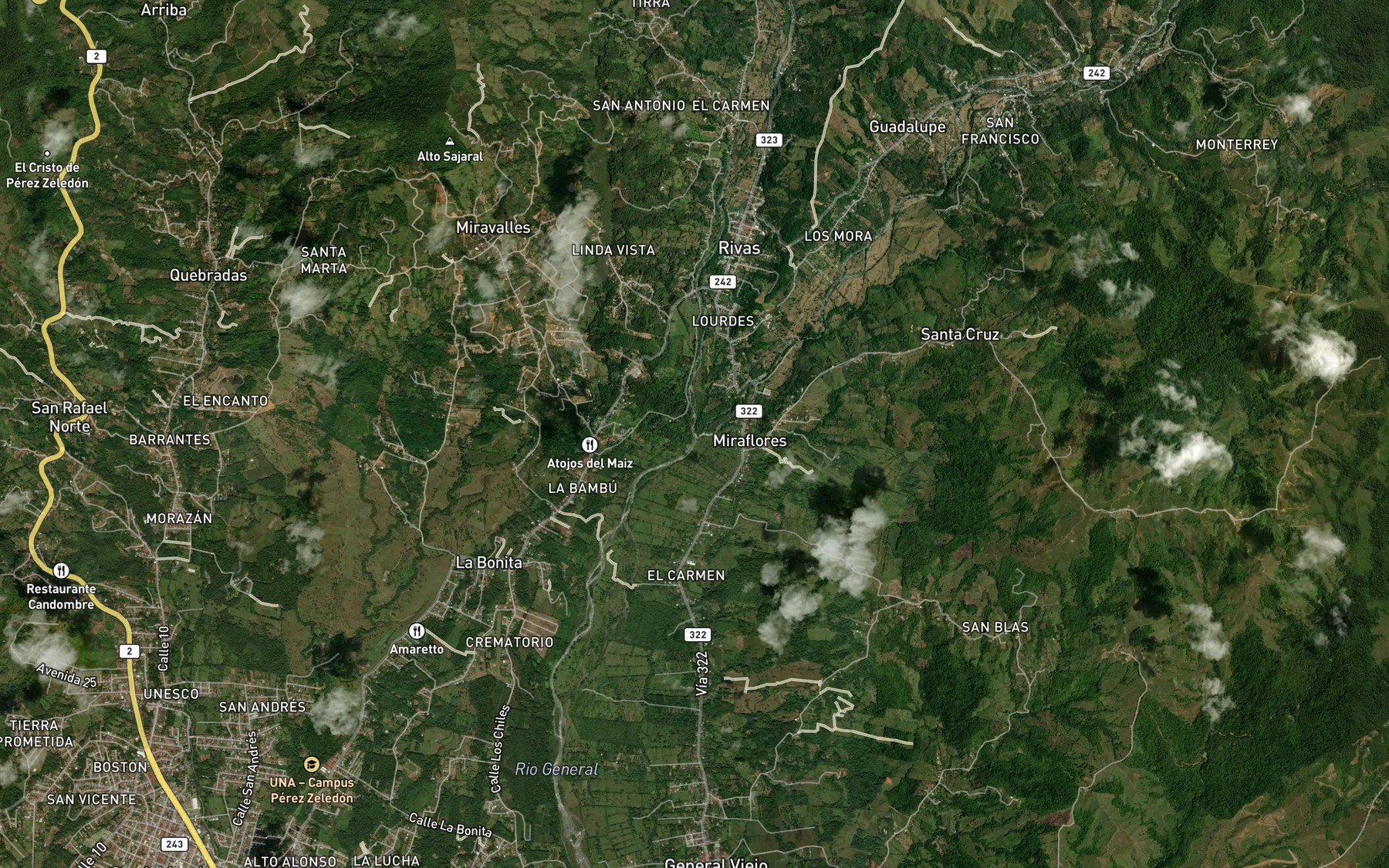Satellite map of the Rio Buenavista