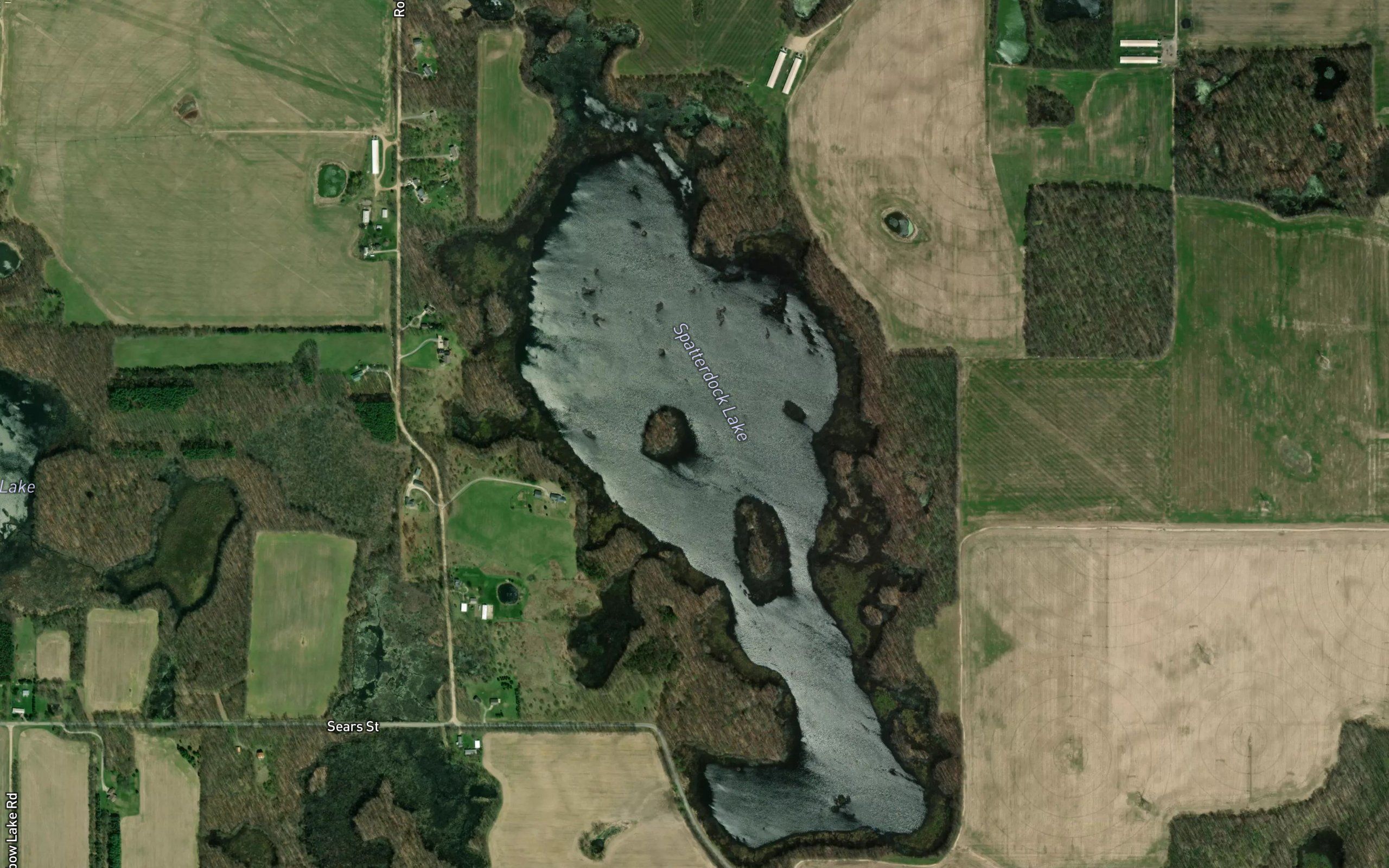 Spatterdock Lake