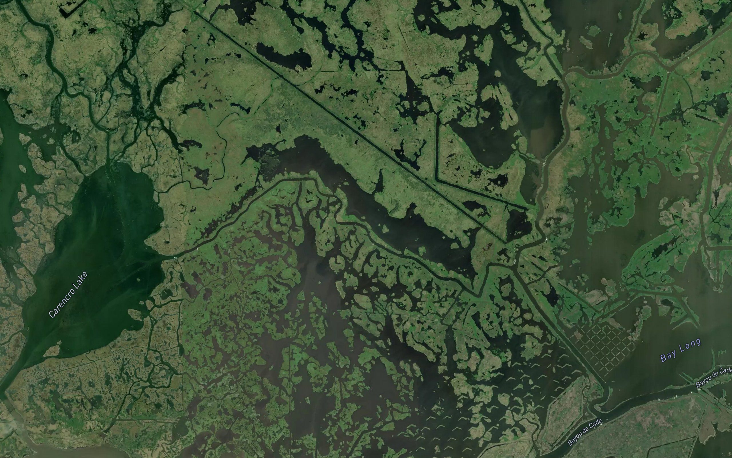 Carencro Bayou