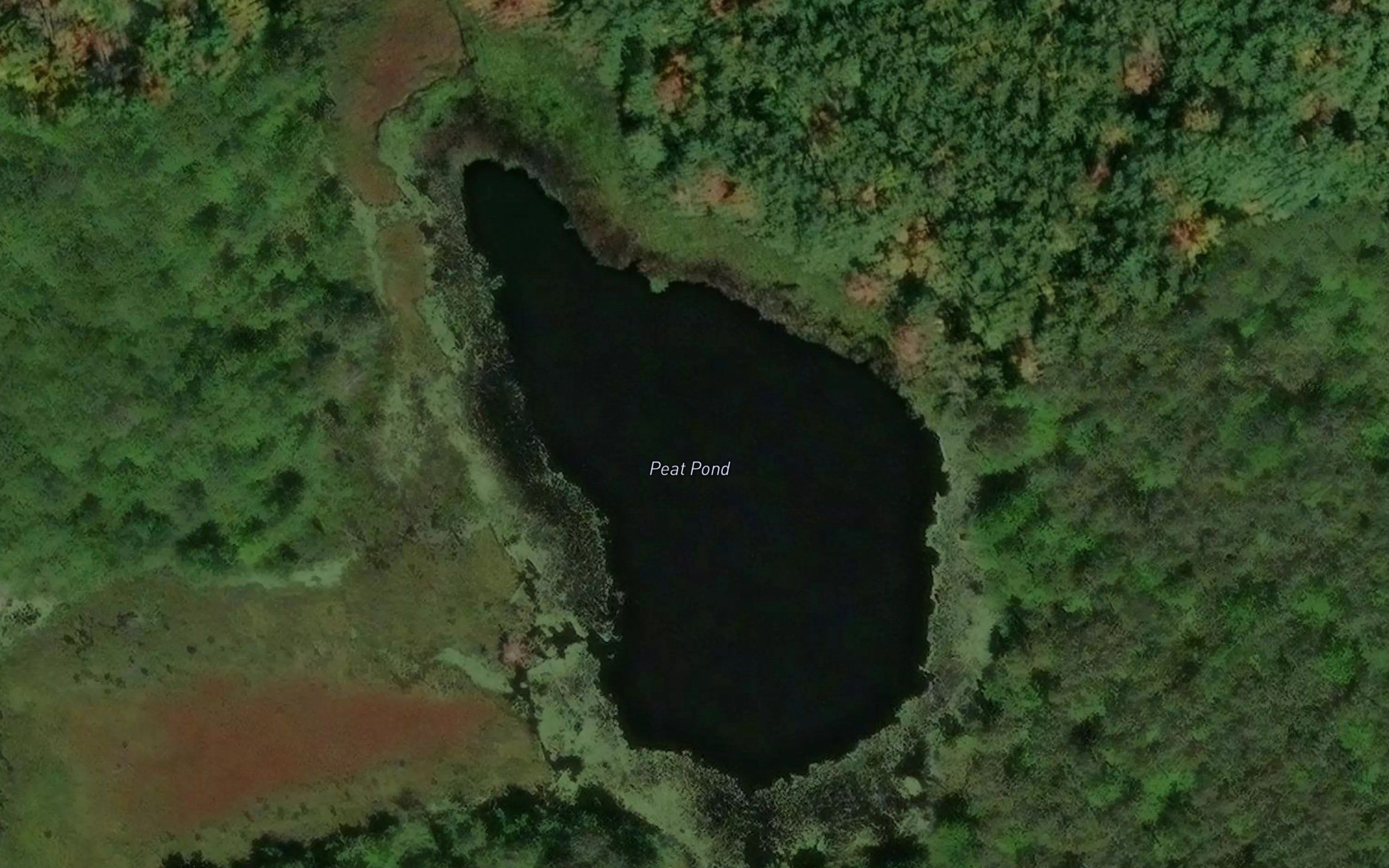 Peat Pond