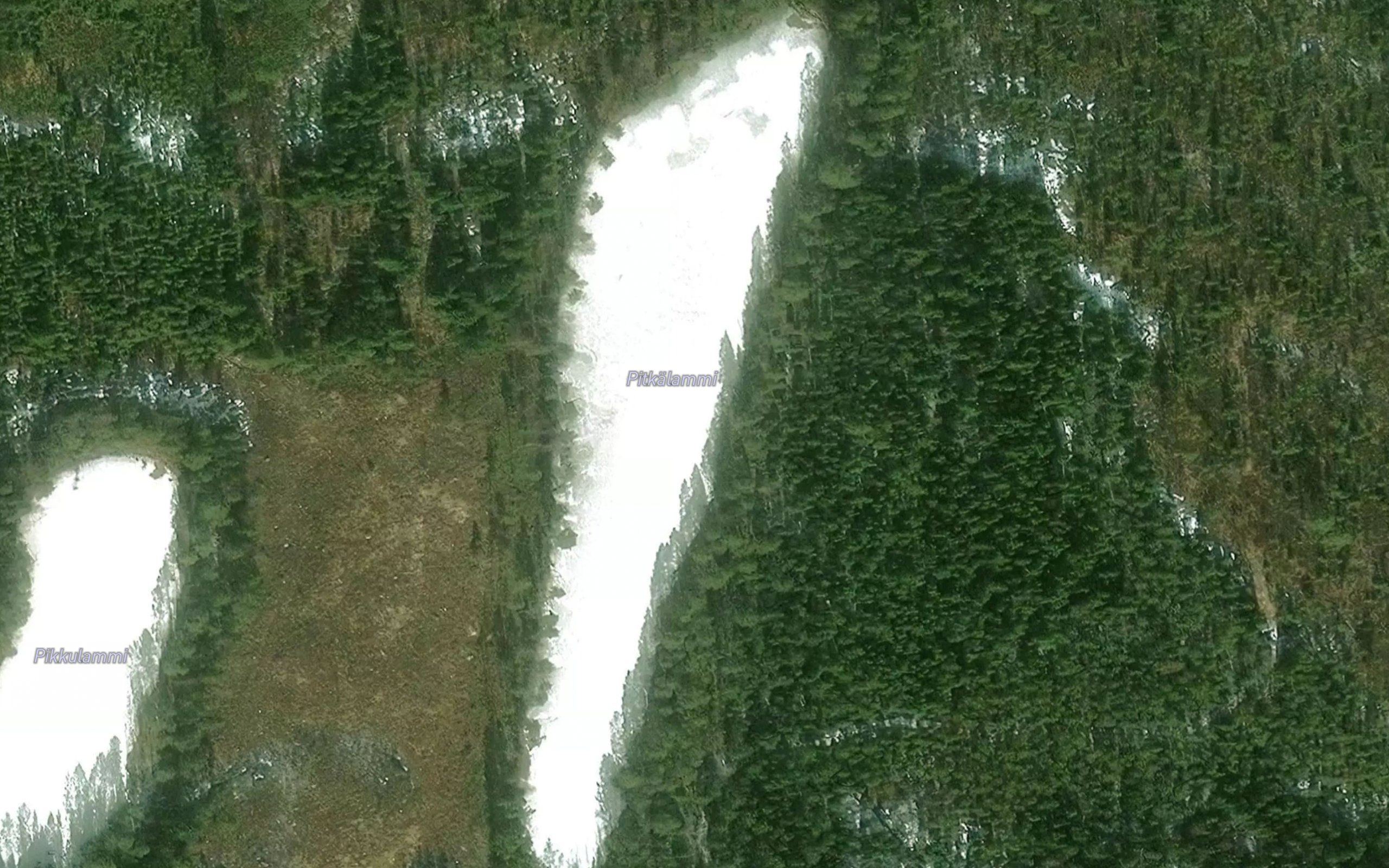Pitkalammi