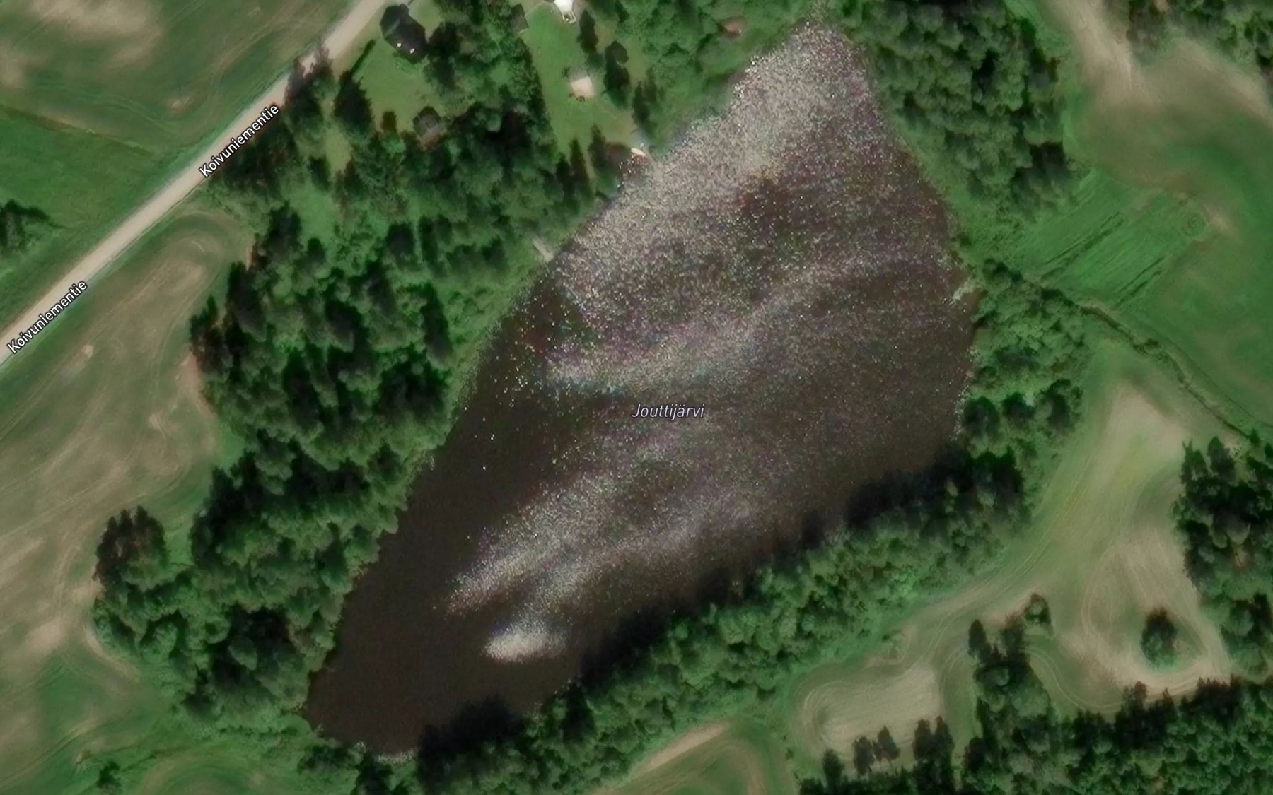Satellite map of the Jouttijarvi