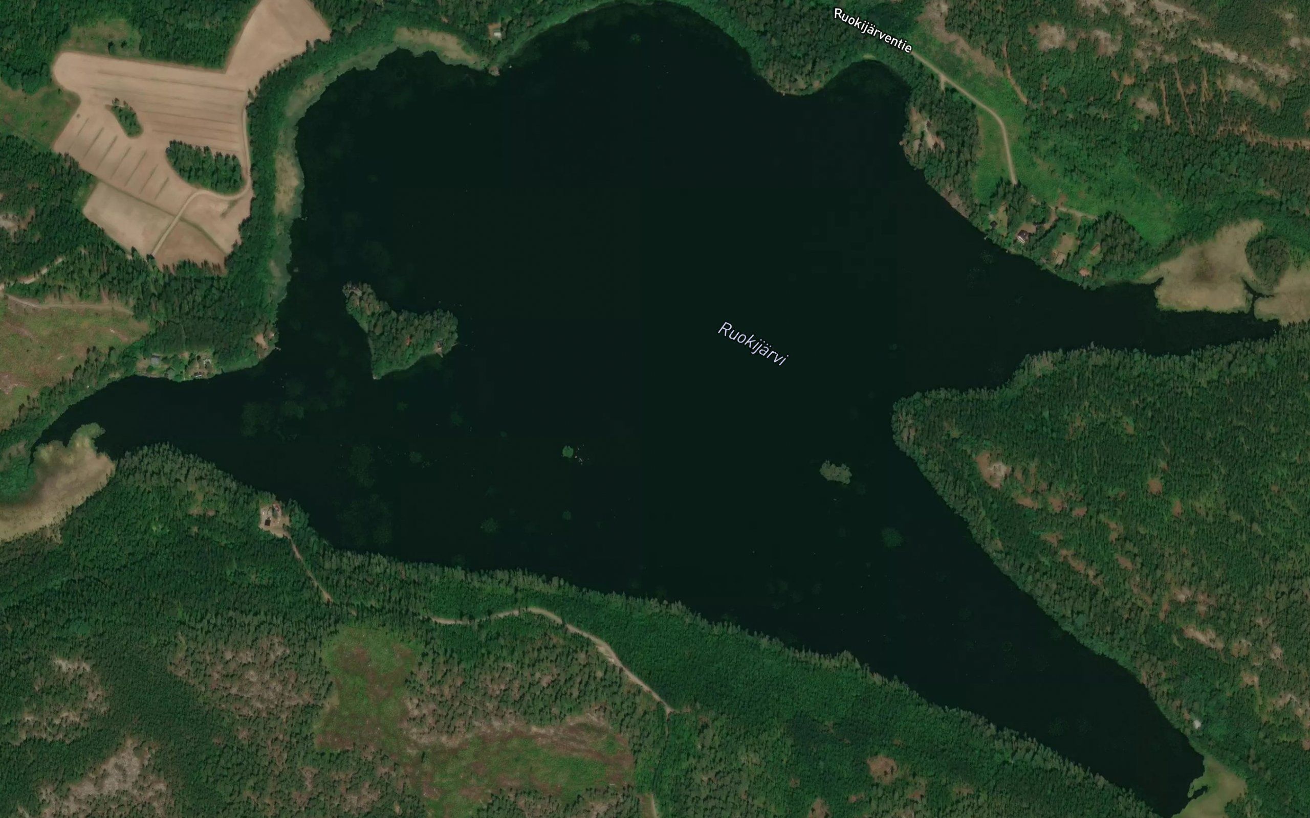 Ruokijarvi