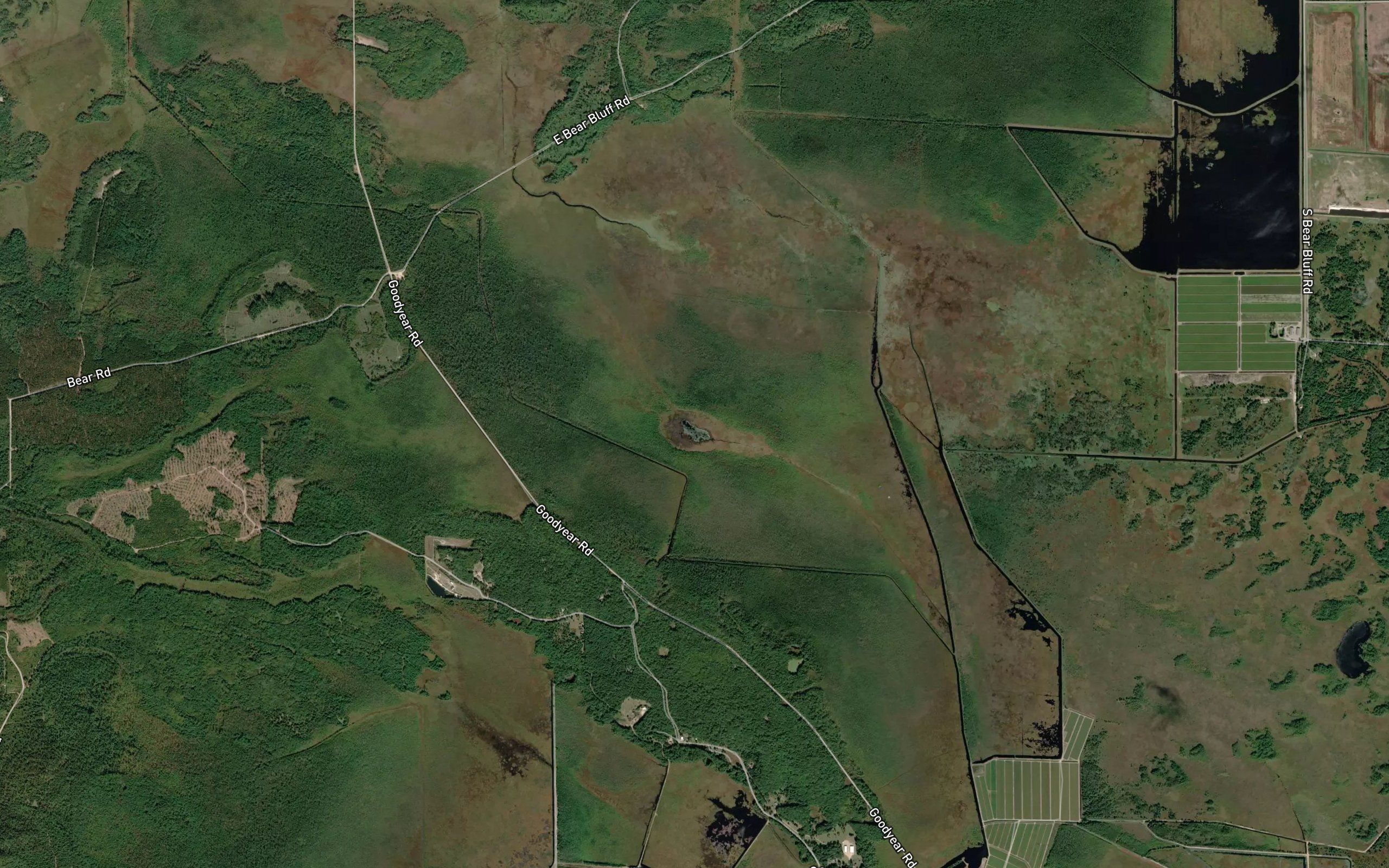 Goodyear Lake