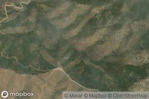 Saddle Spring