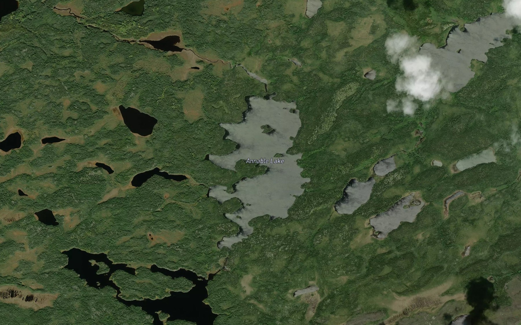 Satellite map of the Annable Lake