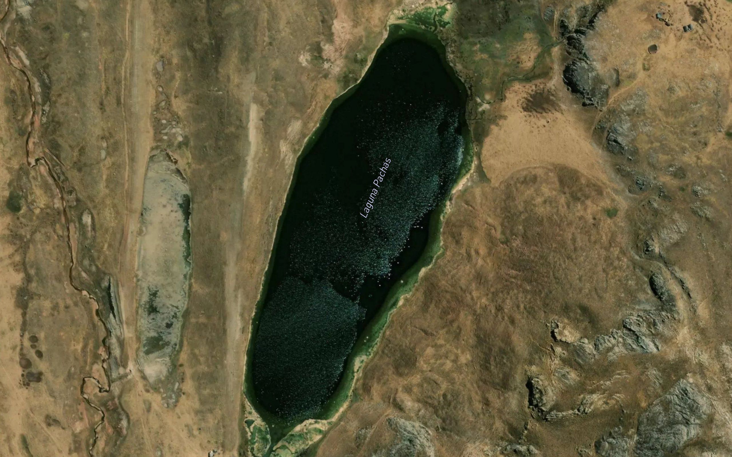 Laguna Pachas