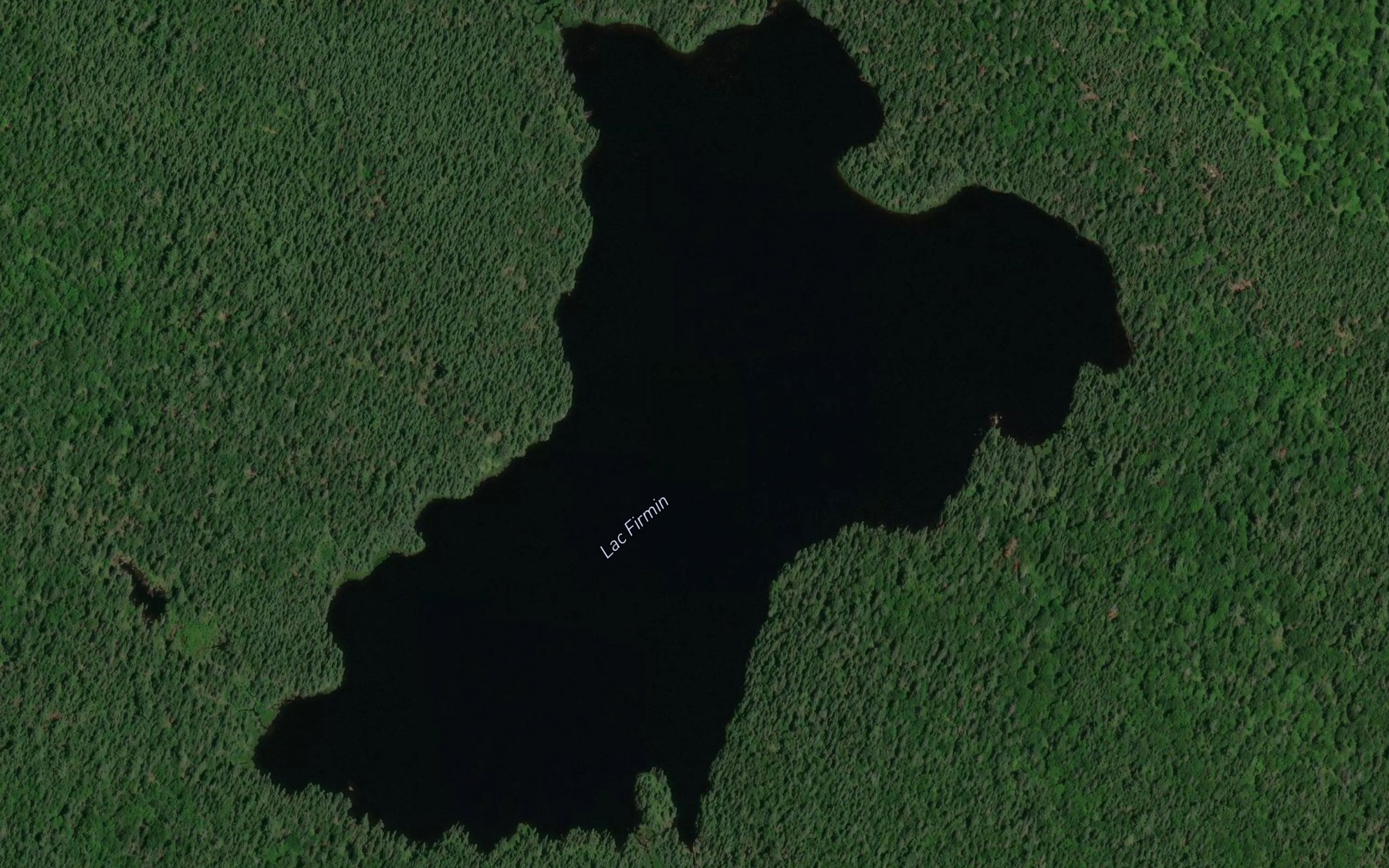 Satellite map of the Lac Firmin