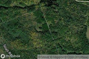 Beaver Pond