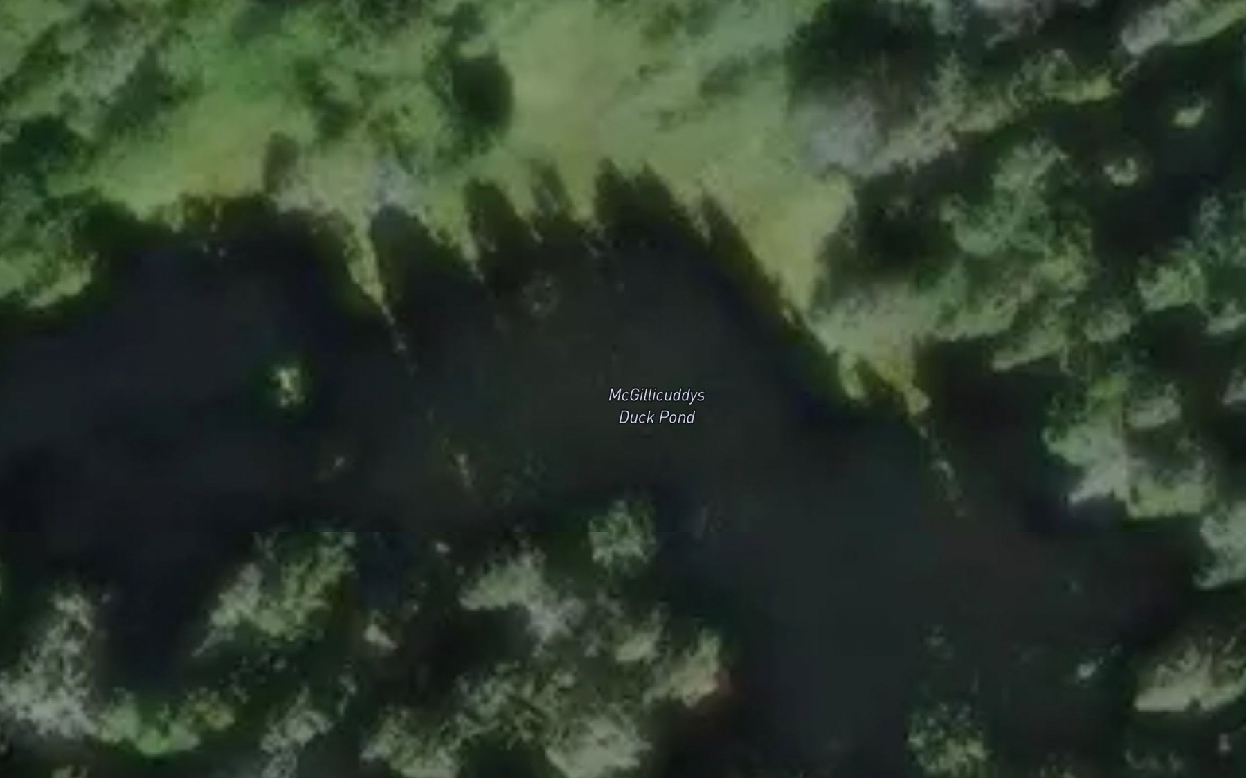 Satellite map of the McGillicuddys Duck Pond