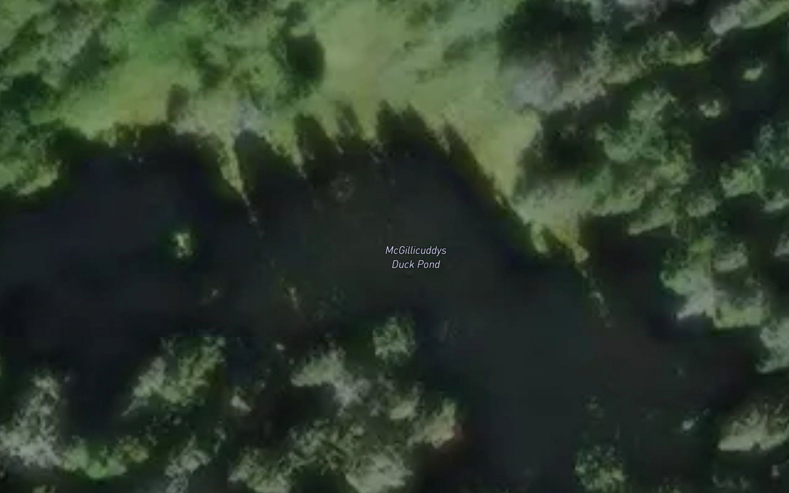 McGillicuddys Duck Pond