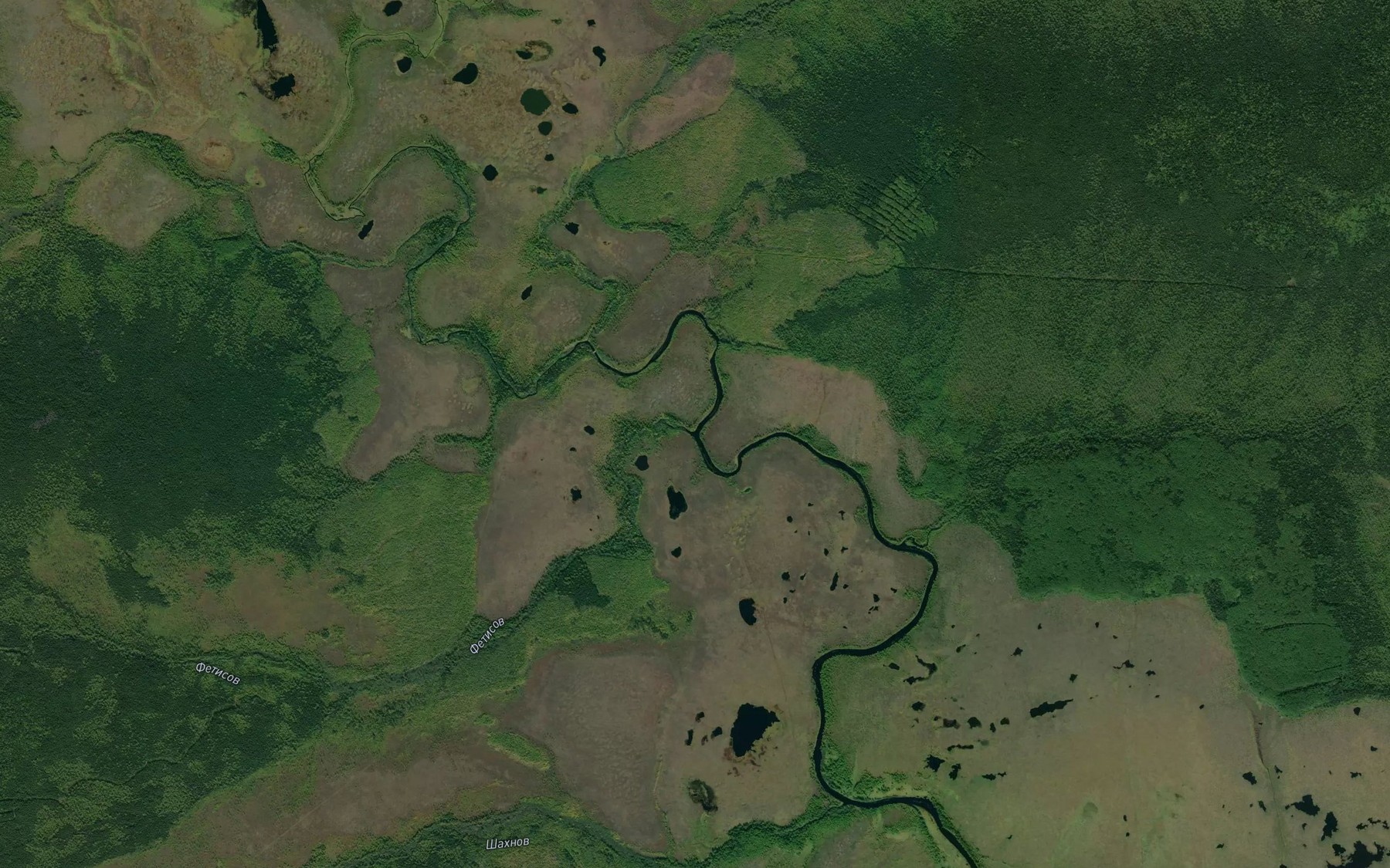 Satellite map of the Fetisov
