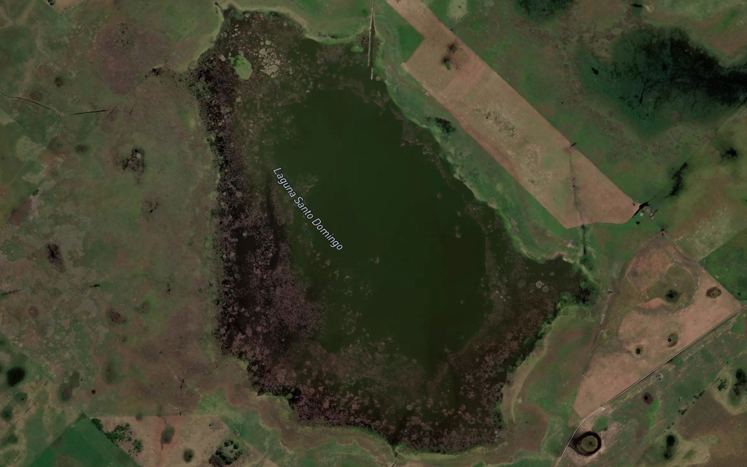 Laguna San Benito
