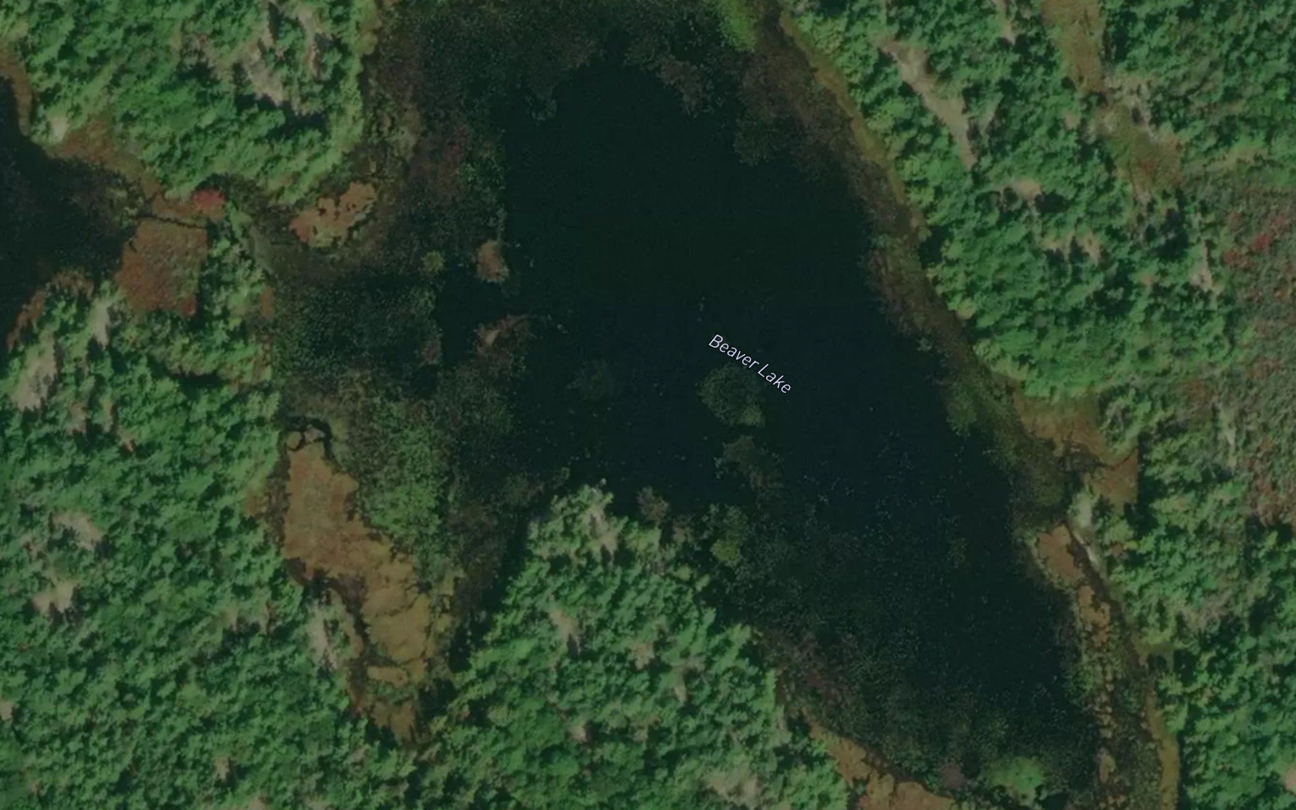 Beaver Lake