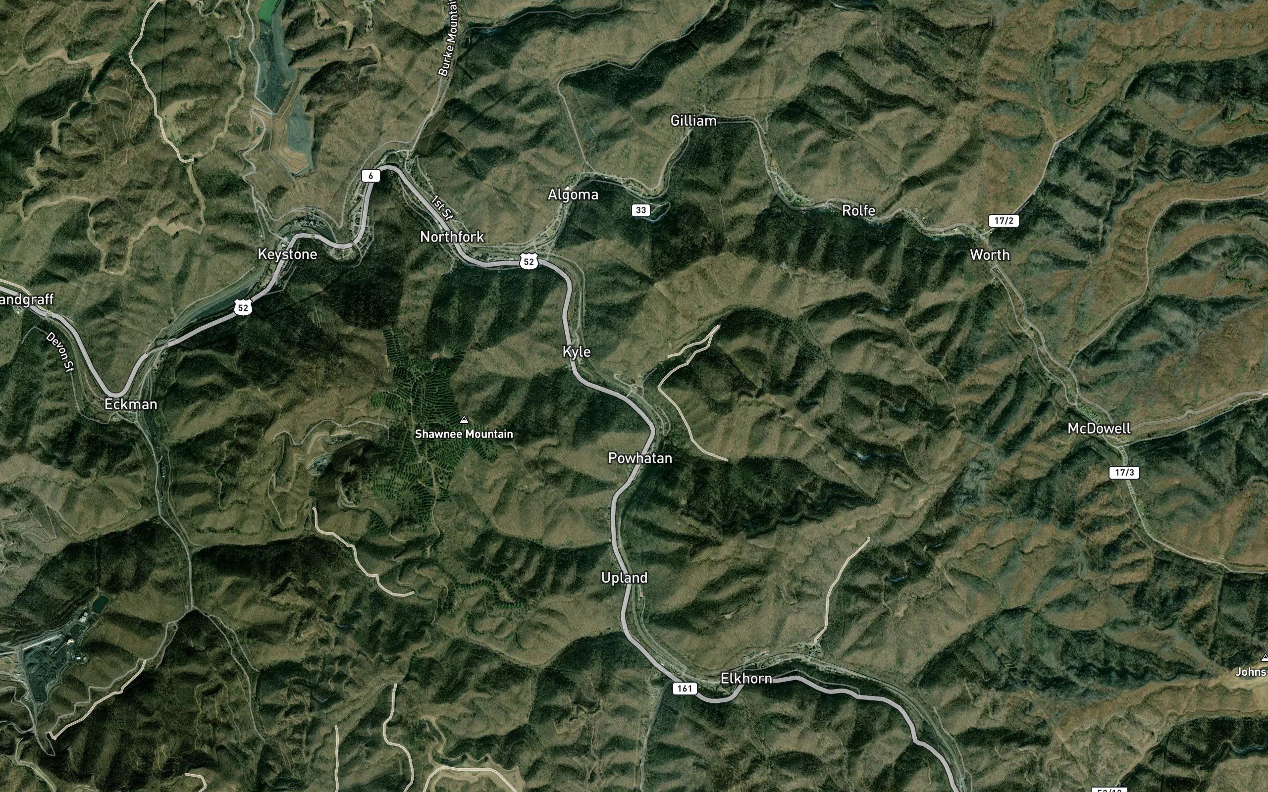 Trace Branch