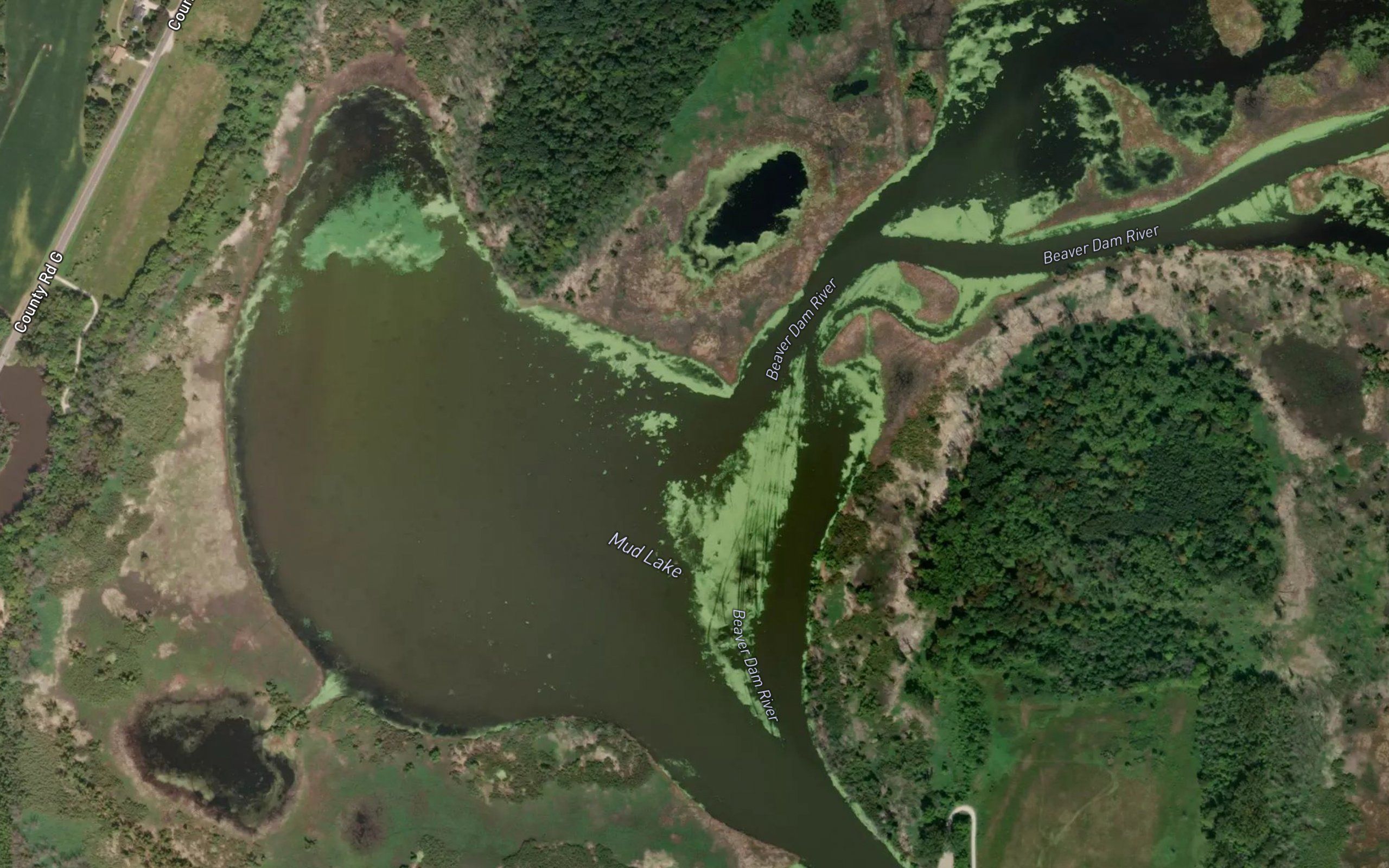 Mud Lake