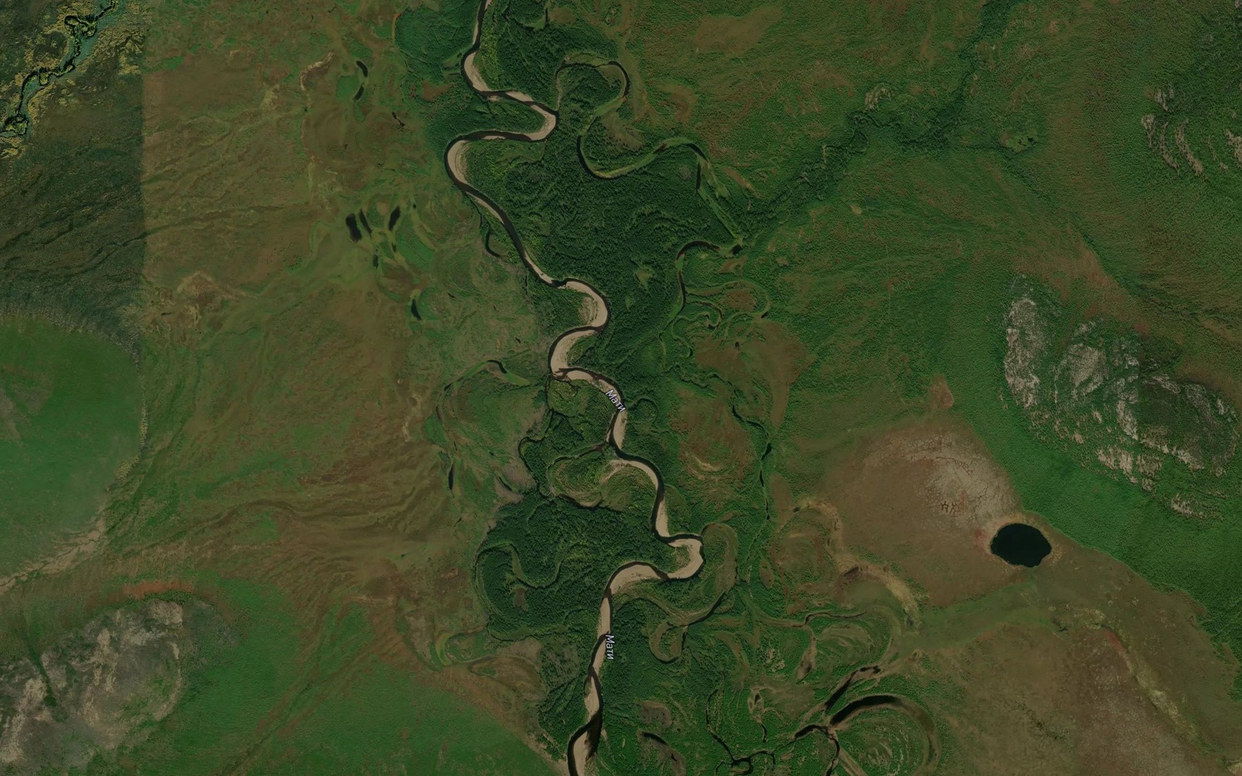 Satellite map of the Bolotnyy