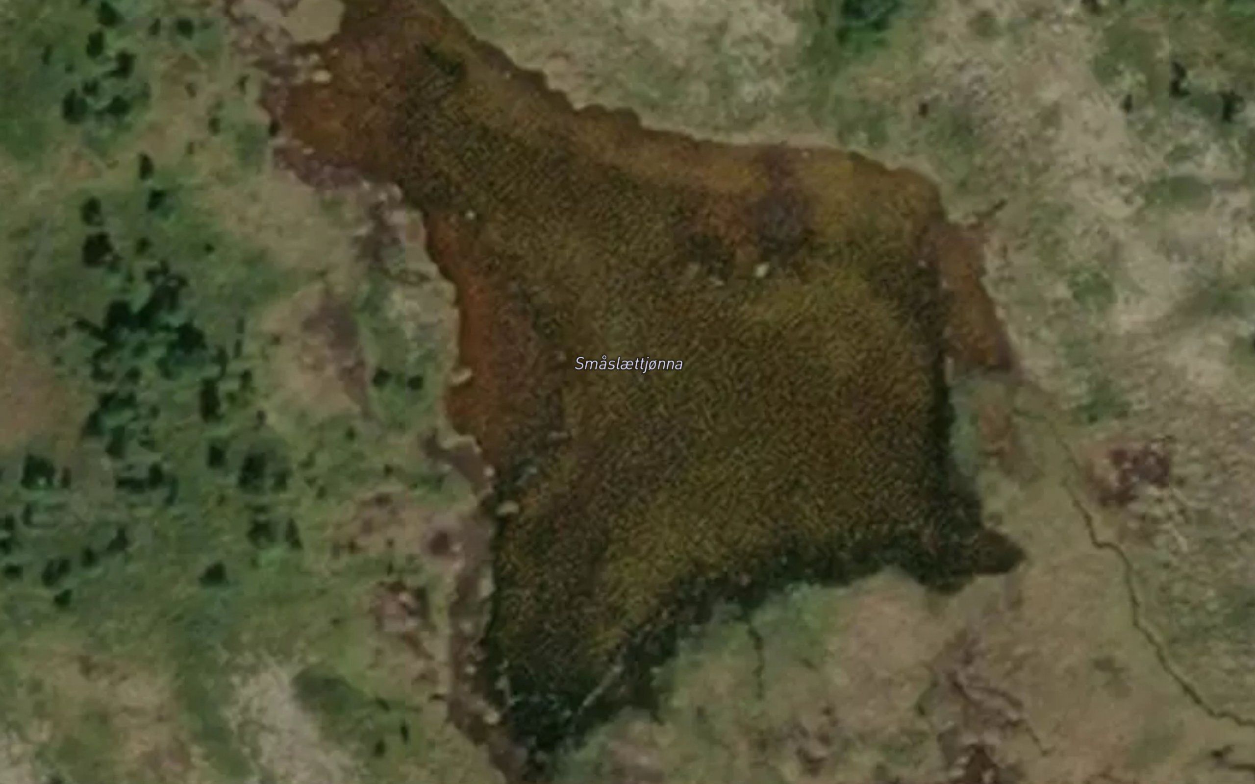 Smaslaettjorna