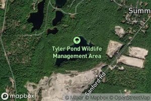 Tyler Pond